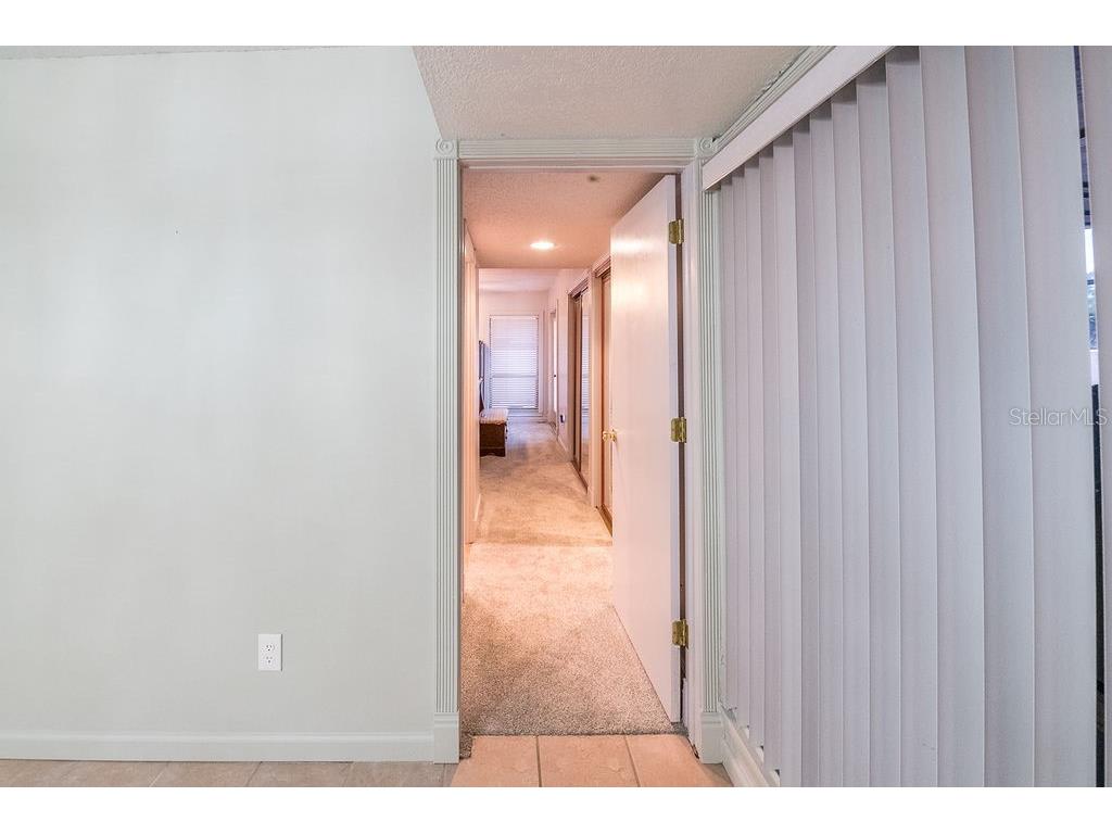 5003 Umber Way S Tampa FL 33624 TB8508908 image27