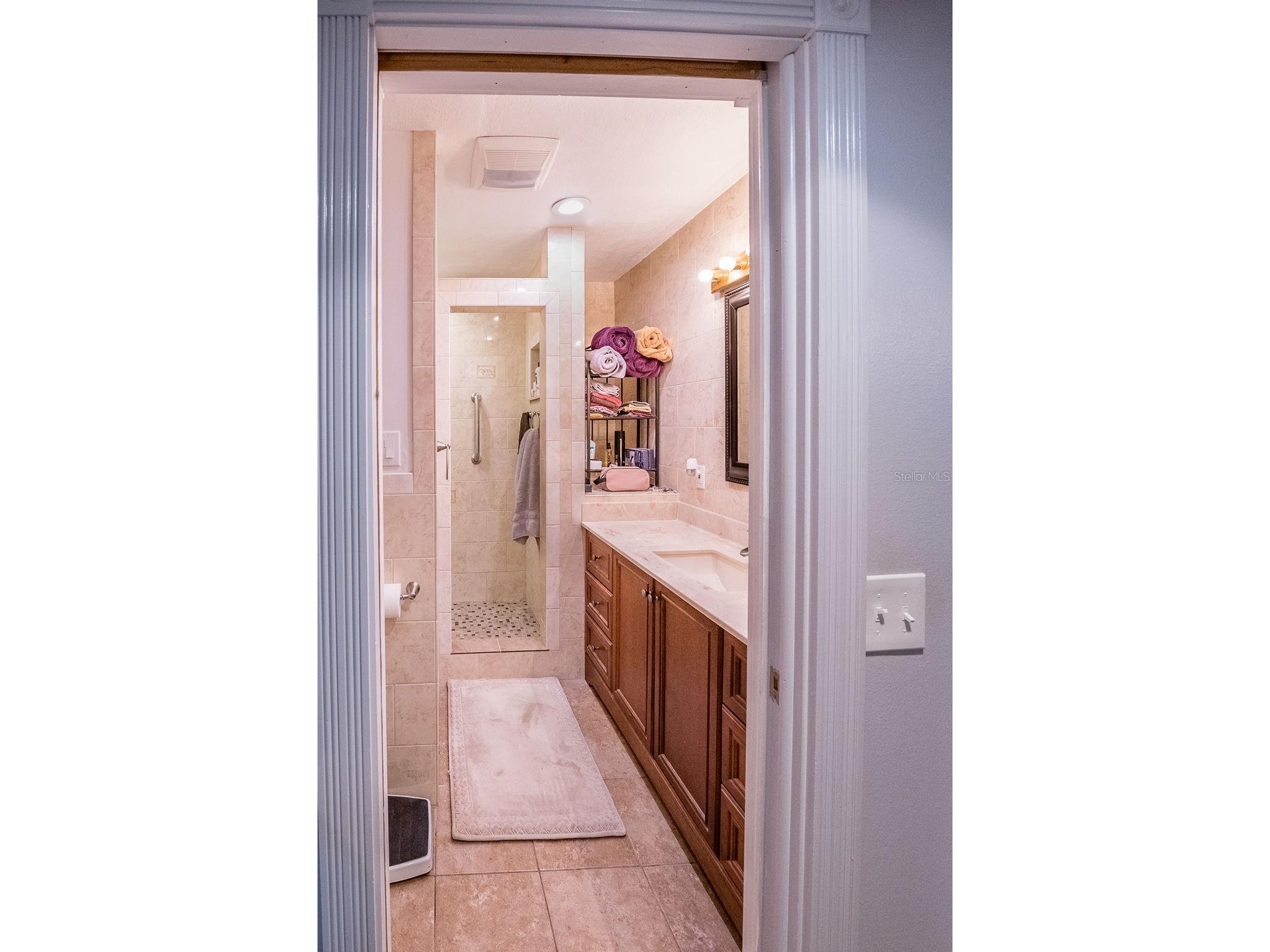 5003 Umber Way S Tampa FL 33624 TB8508908 image28