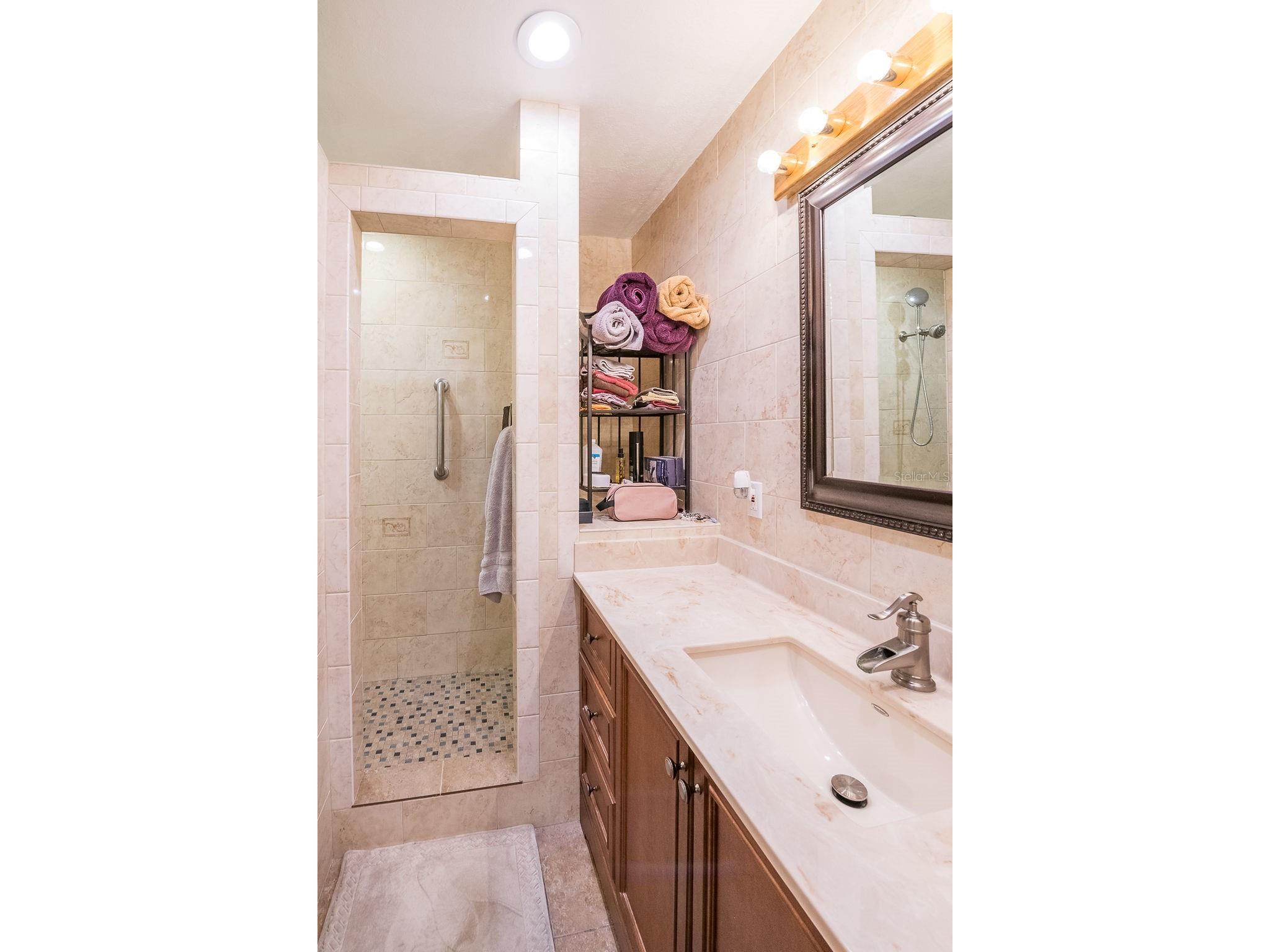 5003 Umber Way S Tampa FL 33624 TB8508908 image29