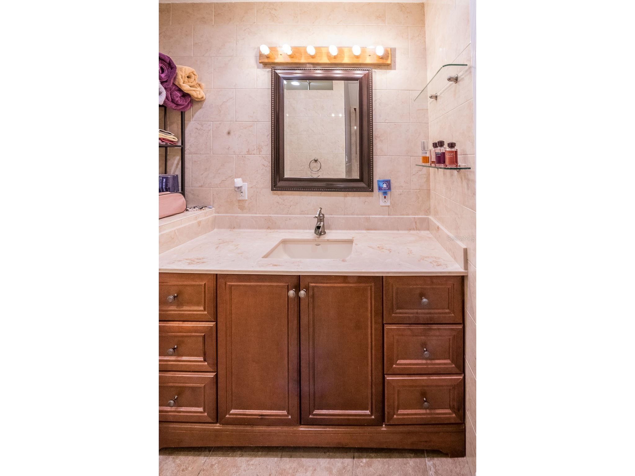 5003 Umber Way S Tampa FL 33624 TB8508908 image30