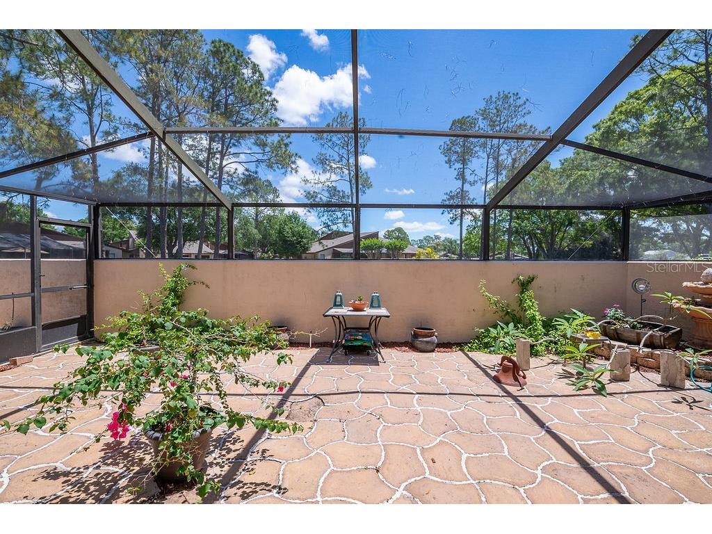5003 Umber Way S Tampa FL 33624 TB8508908 image46