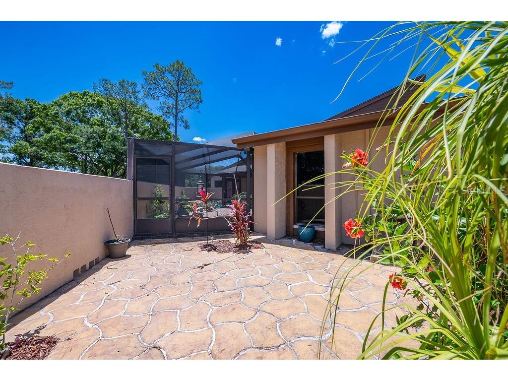 5003 Umber Way S Tampa FL 33624 TB8508908 image48