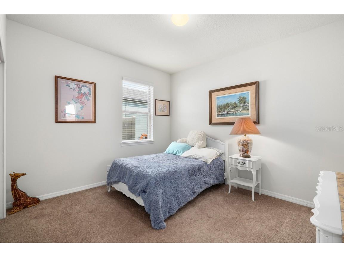 5003 Wabash Place Riverview FL 33578 TB8448956 image20