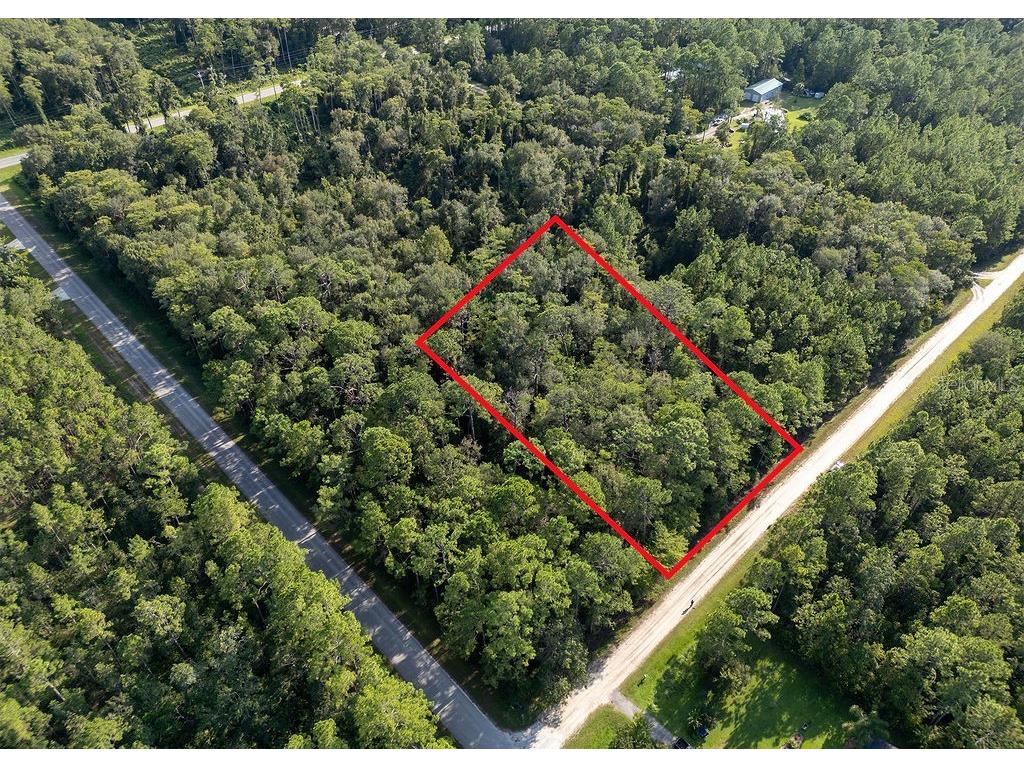 5003 Willow Lane Bunnell FL 32110 V4944550 image1