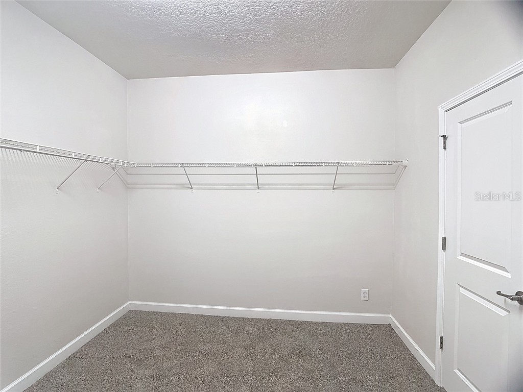 5004 Bella Armonia Circle Wimauma FL 33598 TB8442238 image40