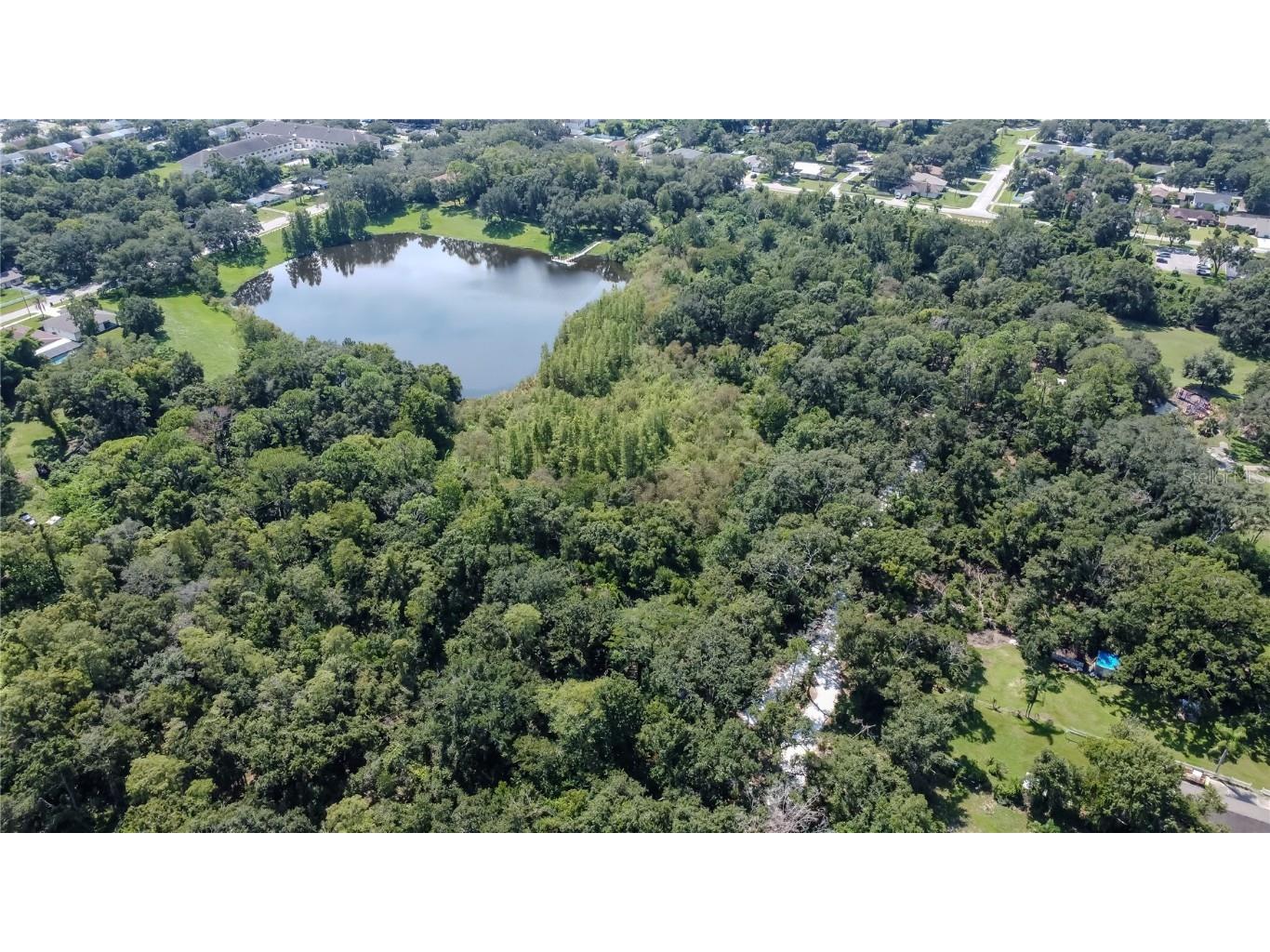 5004 E Seneca Avenue Tampa FL 33617 TB8421927 image38