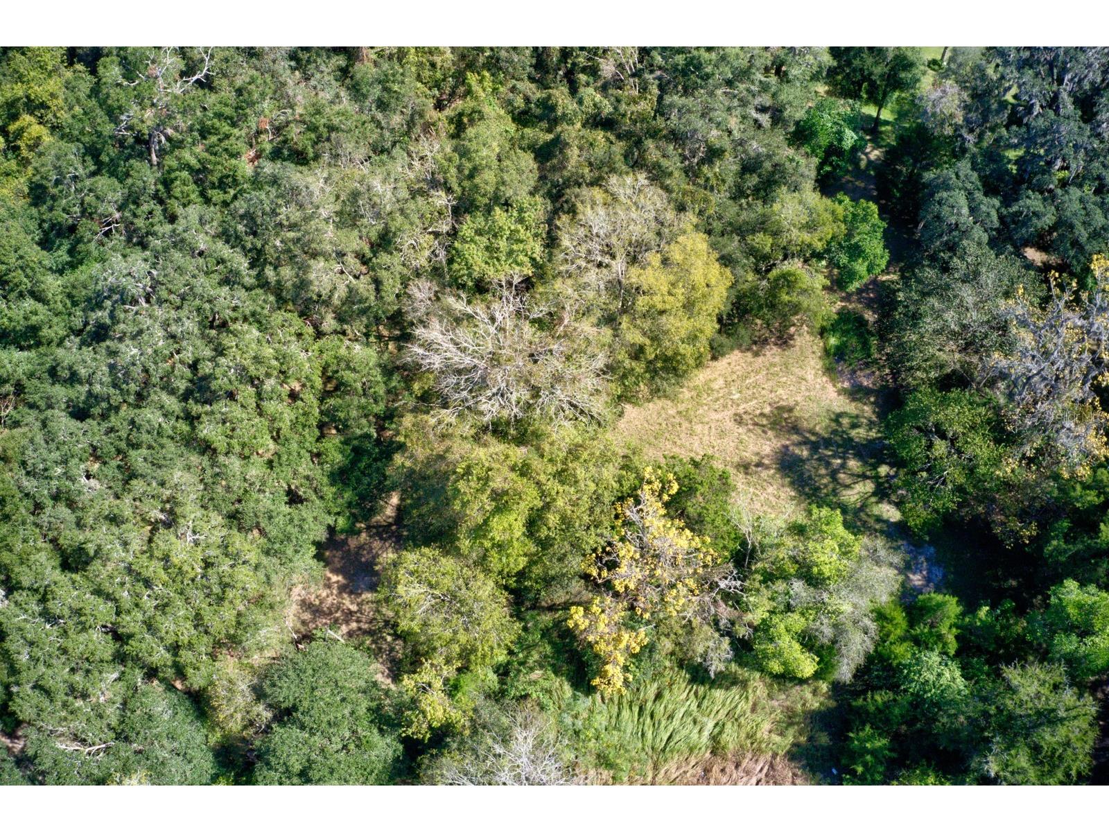 5005 SW 63rd Boulevard Gainesville FL 32608 GC539094 image10