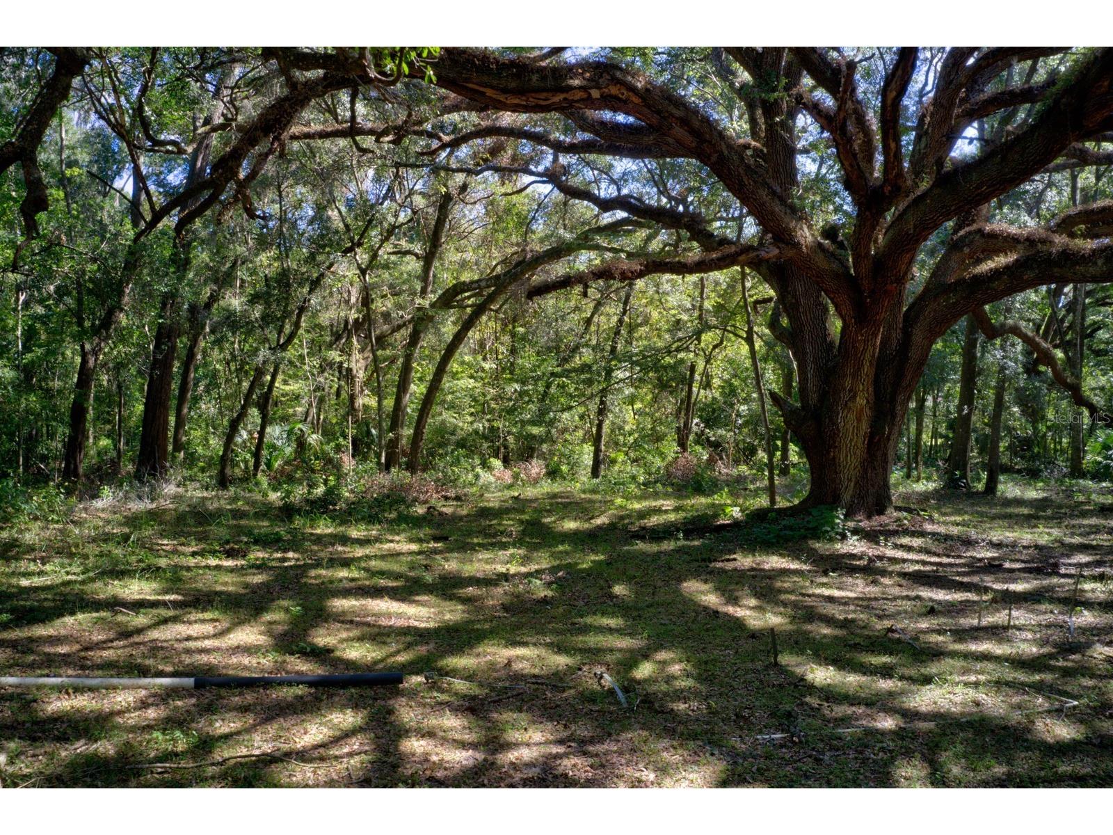 5005 SW 63rd Boulevard Gainesville FL 32608 GC539094 image2