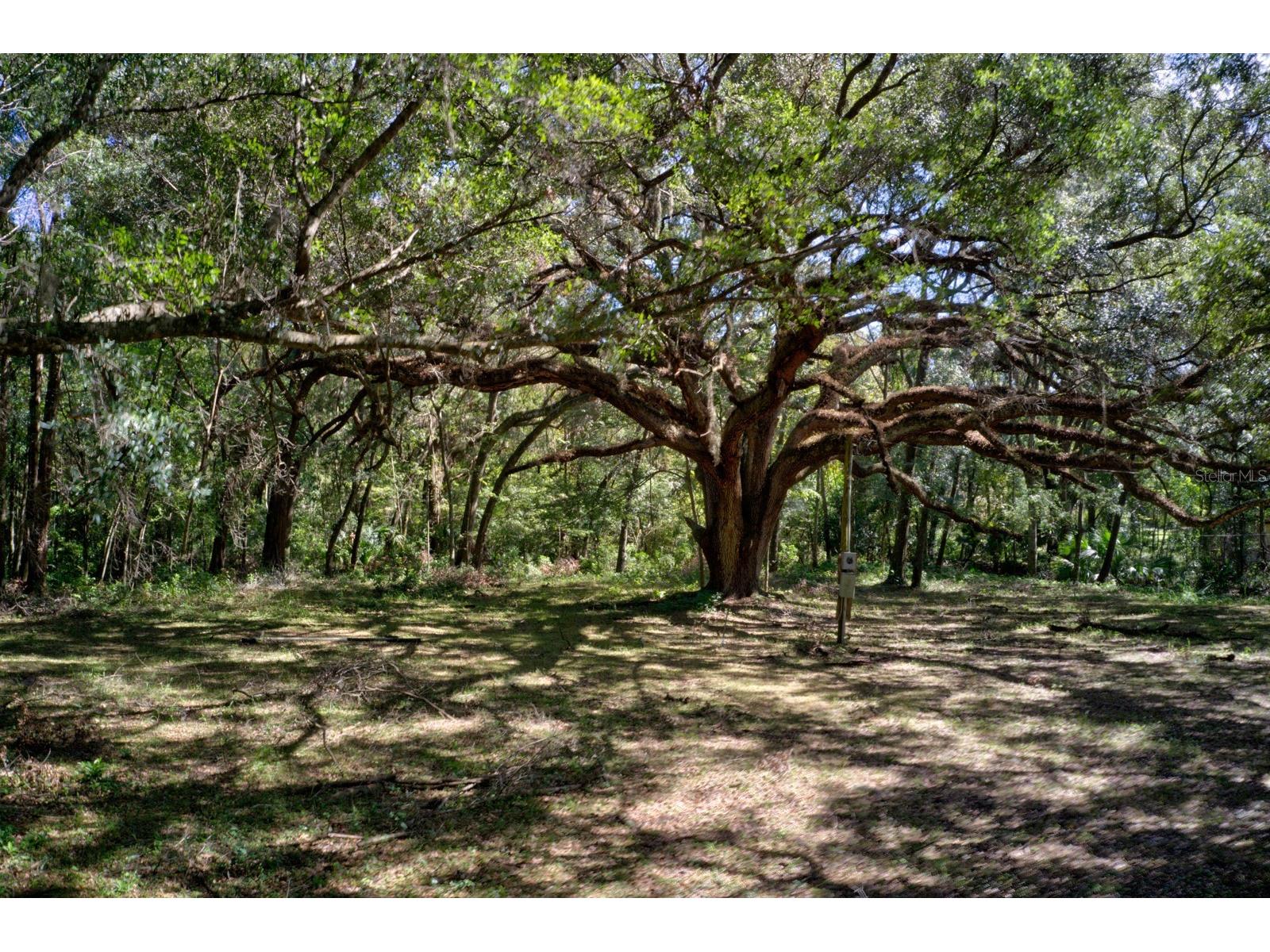 5005 SW 63rd Boulevard Gainesville FL 32608 GC539094 image3