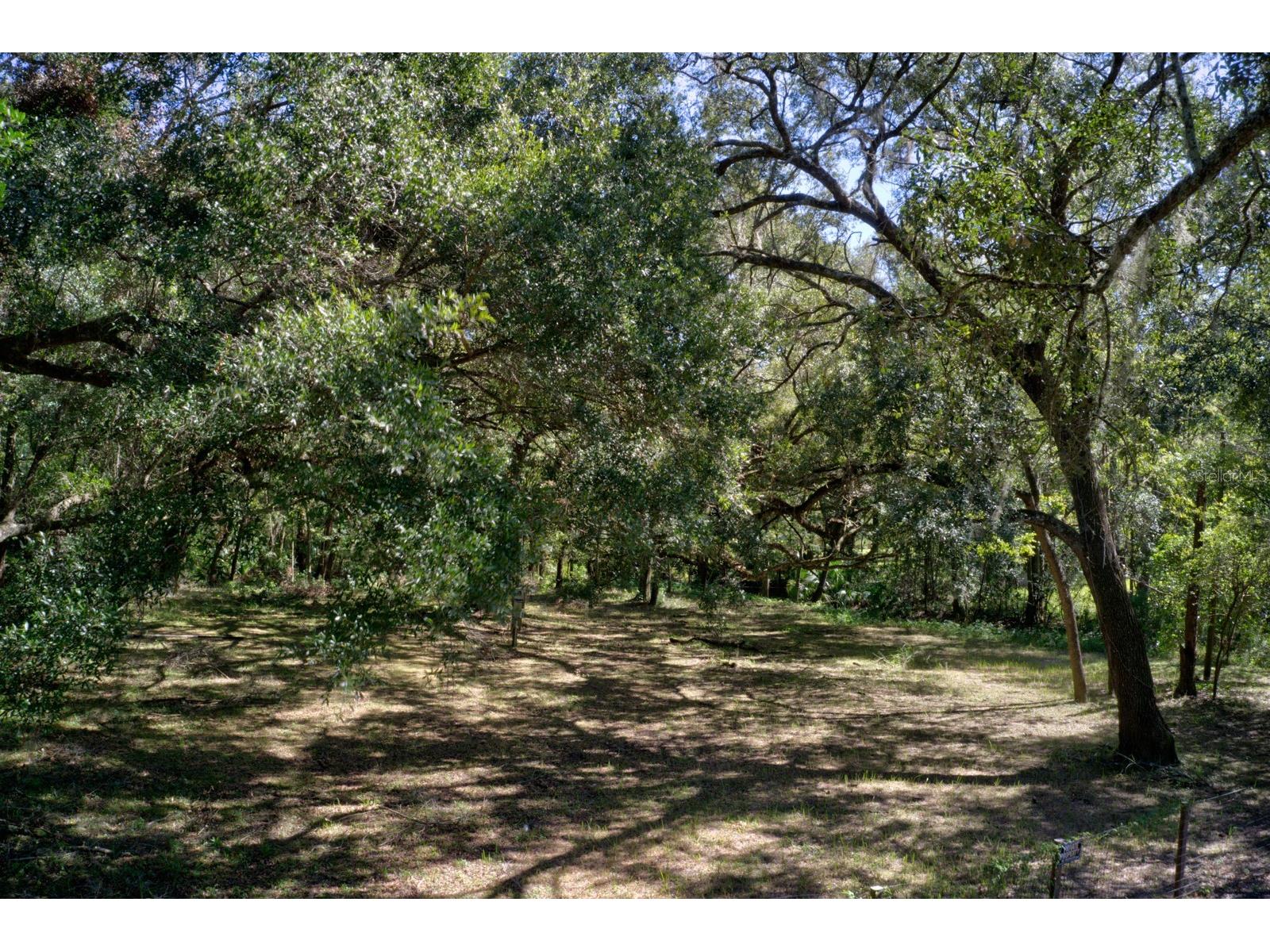 5005 SW 63rd Boulevard Gainesville FL 32608 GC539094 image6