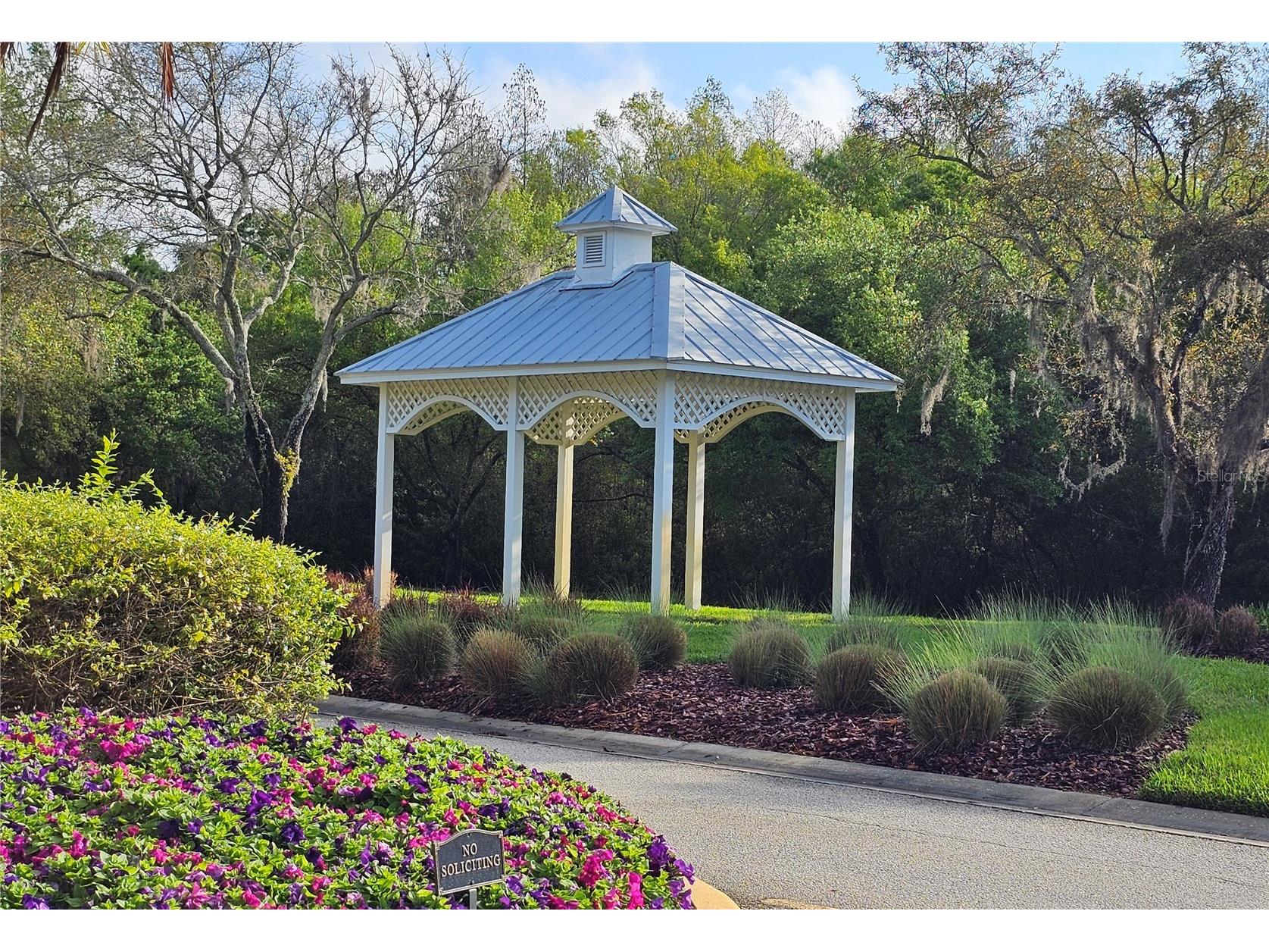 5006 Bridgeway Lane Lutz FL 33558 TB8428858 image43