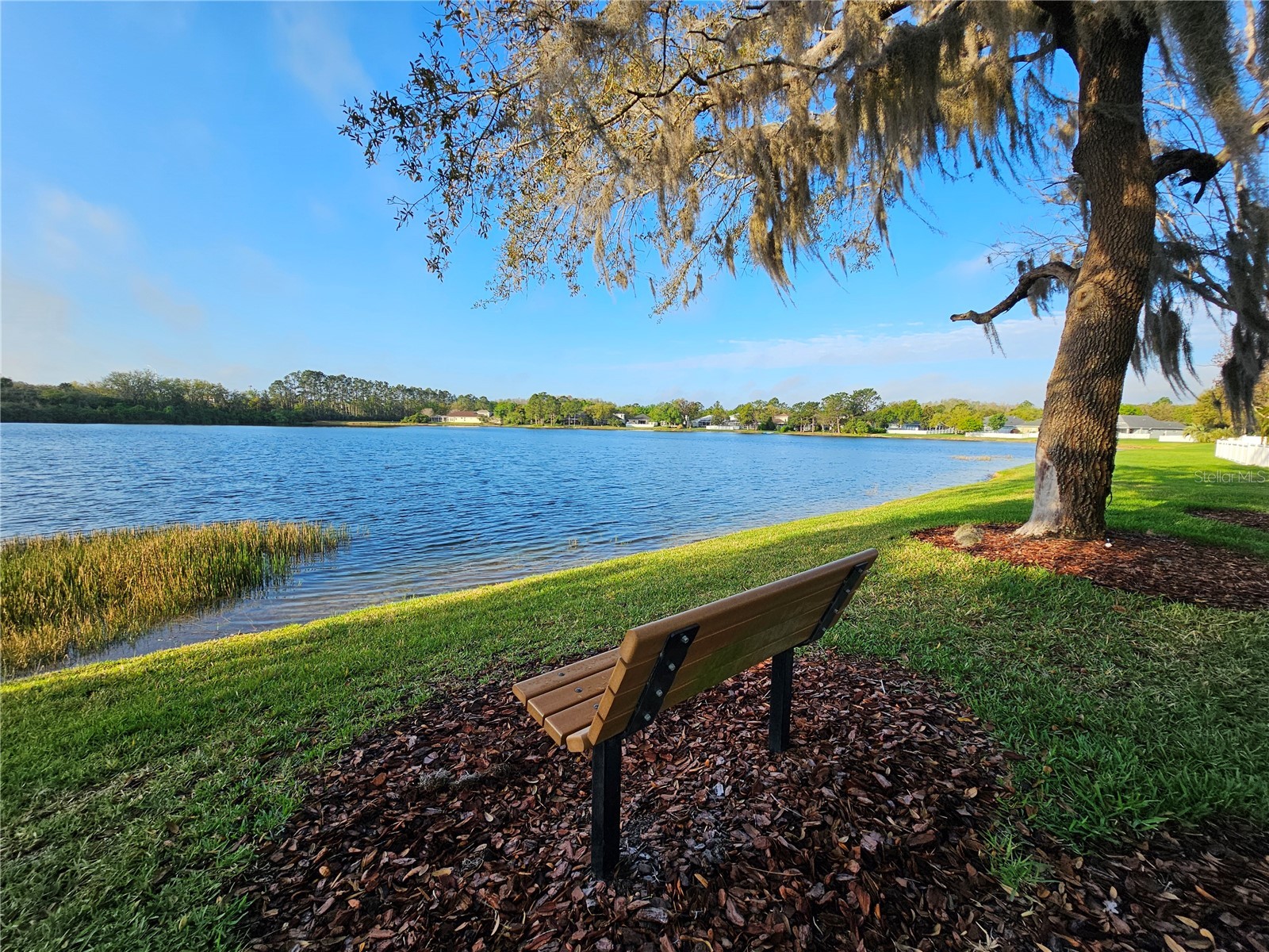 5006 Bridgeway Lane Lutz FL 33558 TB8428858 image44