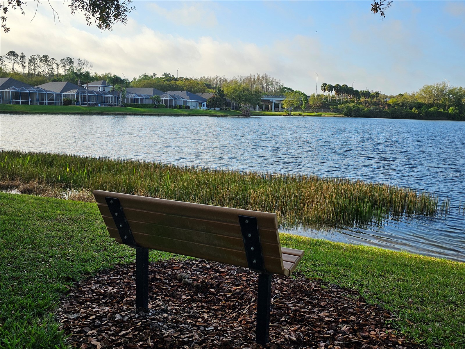 5006 Bridgeway Lane Lutz FL 33558 TB8428858 image45
