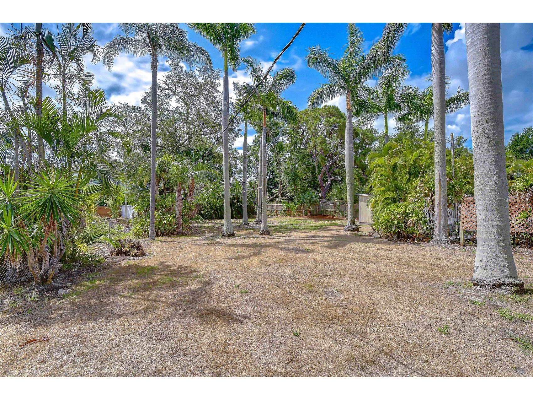 5006 W Dickens Avenue Tampa FL 33629 TB8523616 image7