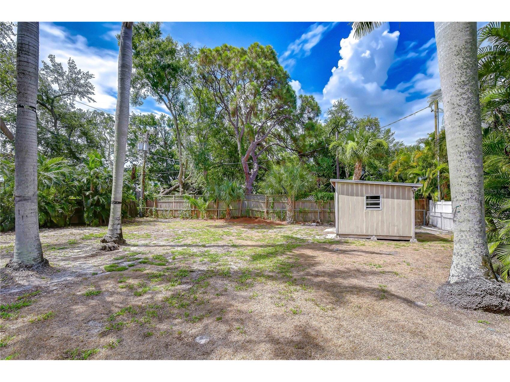 5006 W Dickens Avenue Tampa FL 33629 TB8523616 image8