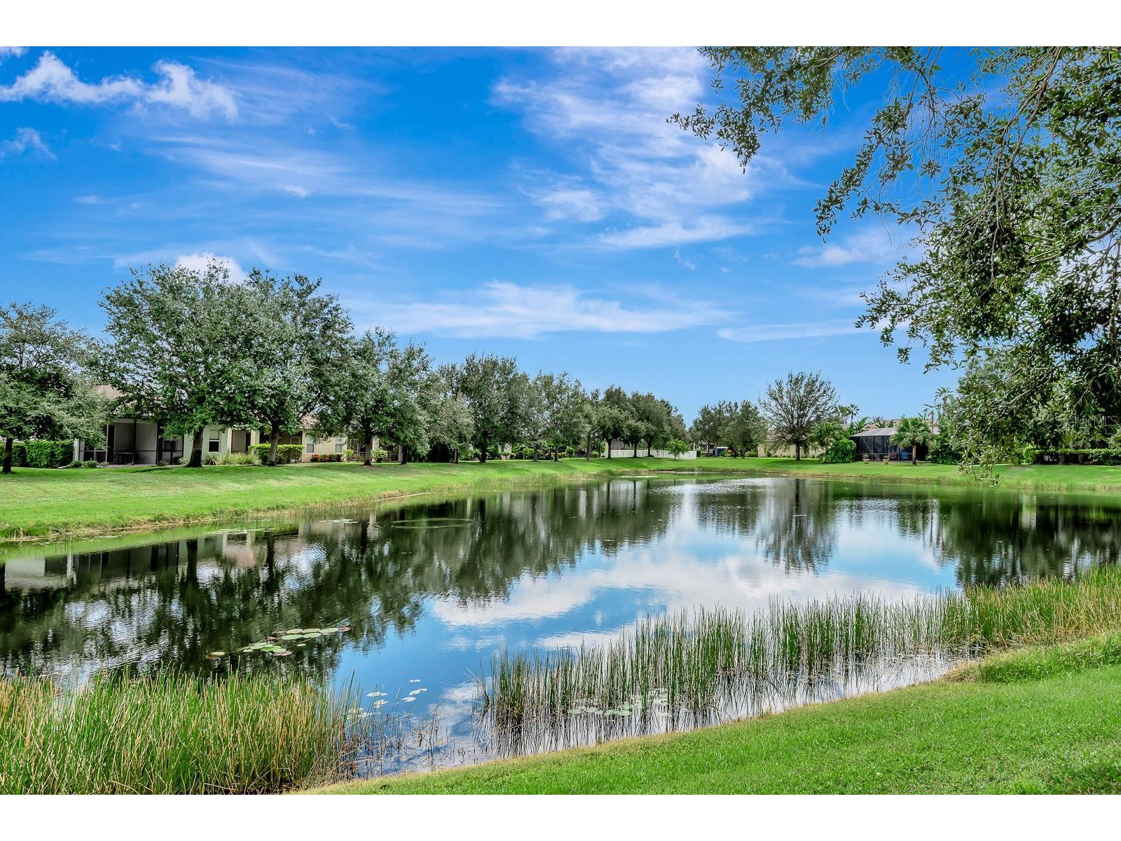 5007 Boston Common Glen Bradenton FL 34211 A4679297 image25