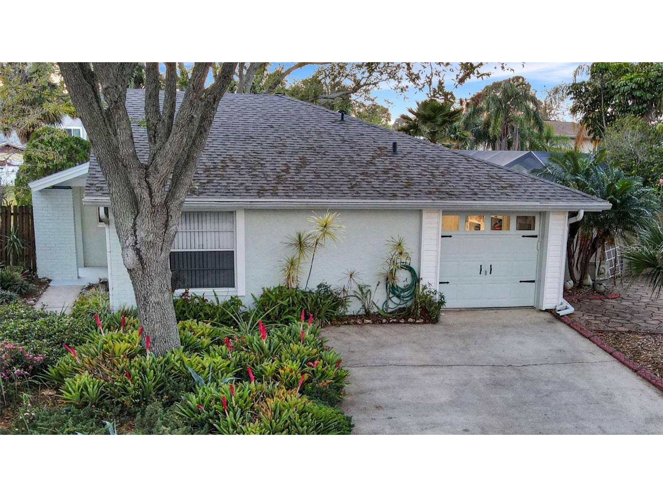 5007 Dollarway Court Tampa FL 33624 U8191472 image1