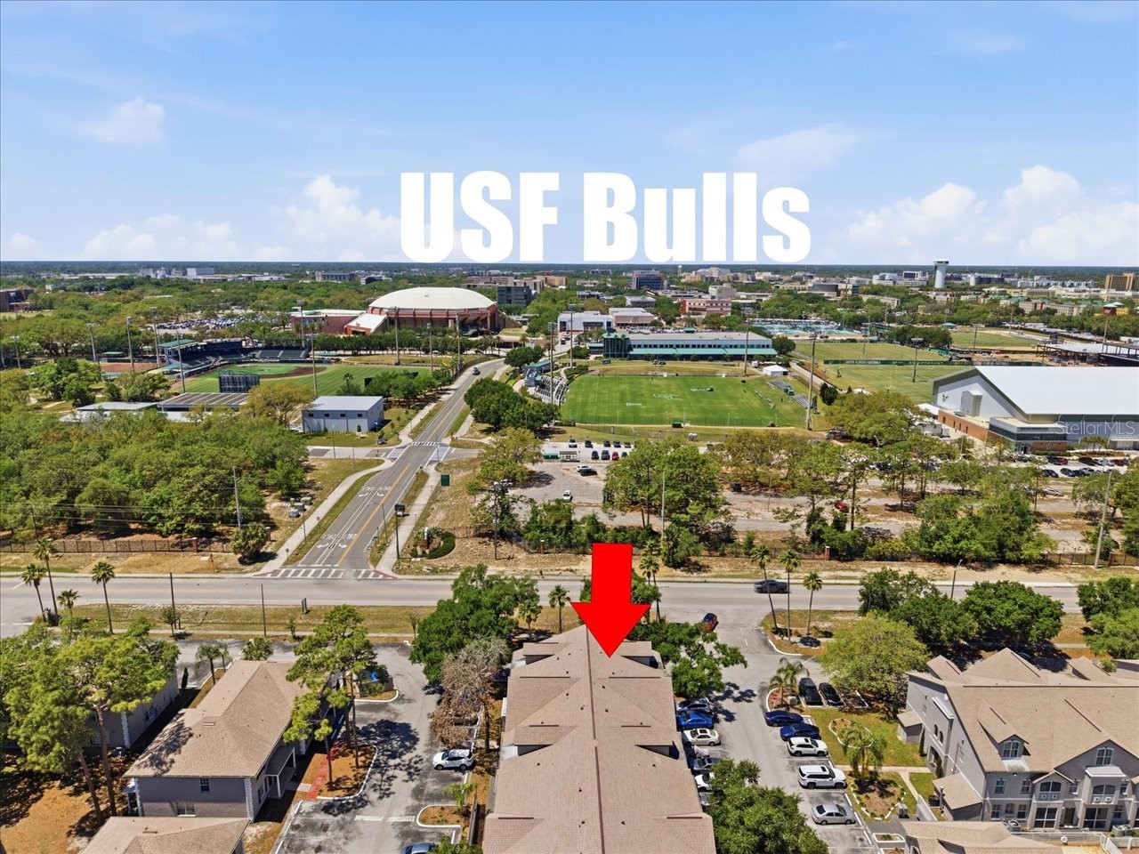 5007 Sunridge Palms Drive Tampa FL 33617 TB8498246 image3