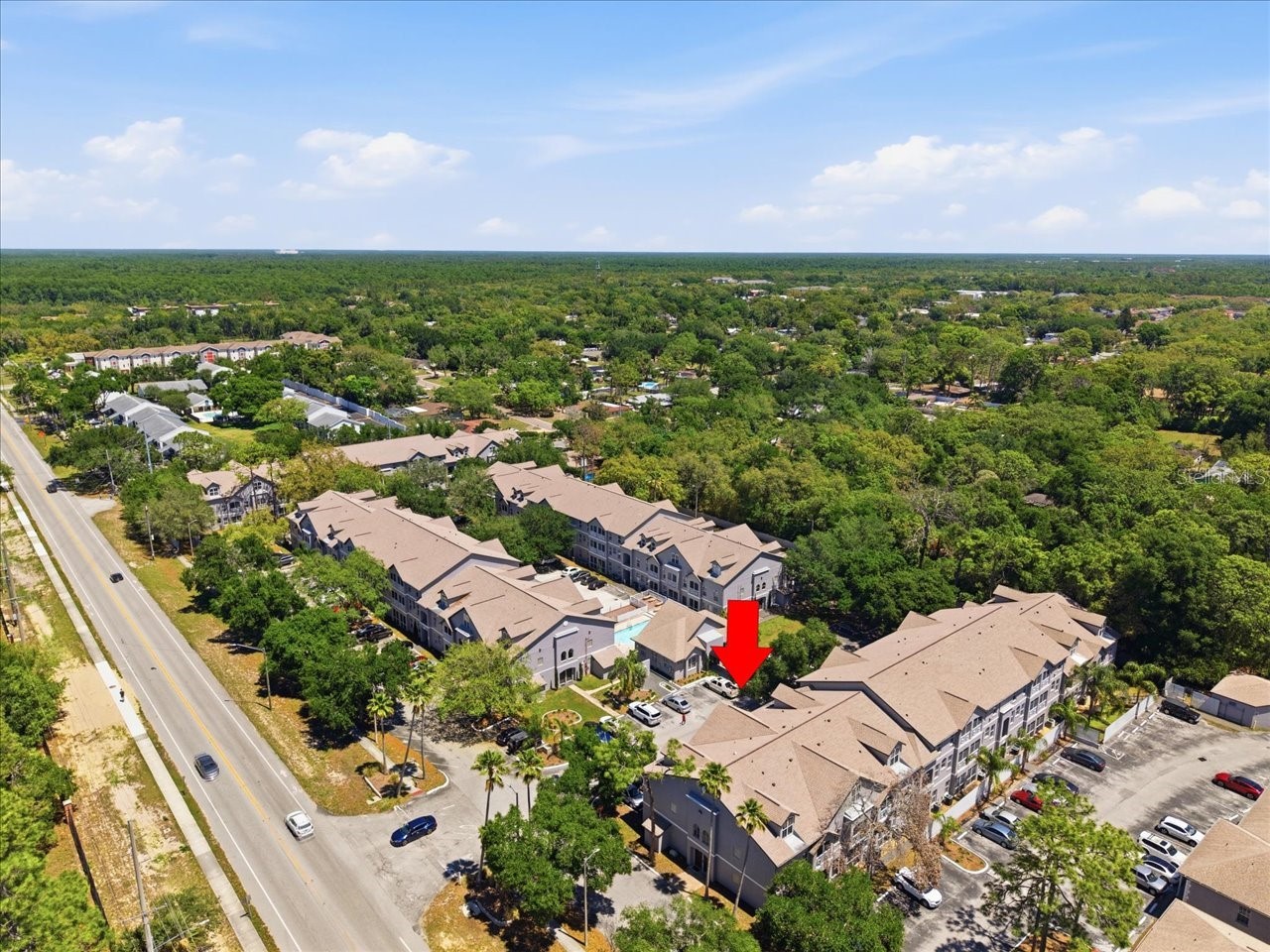 5007 Sunridge Palms Drive Tampa FL 33617 TB8498246 image43