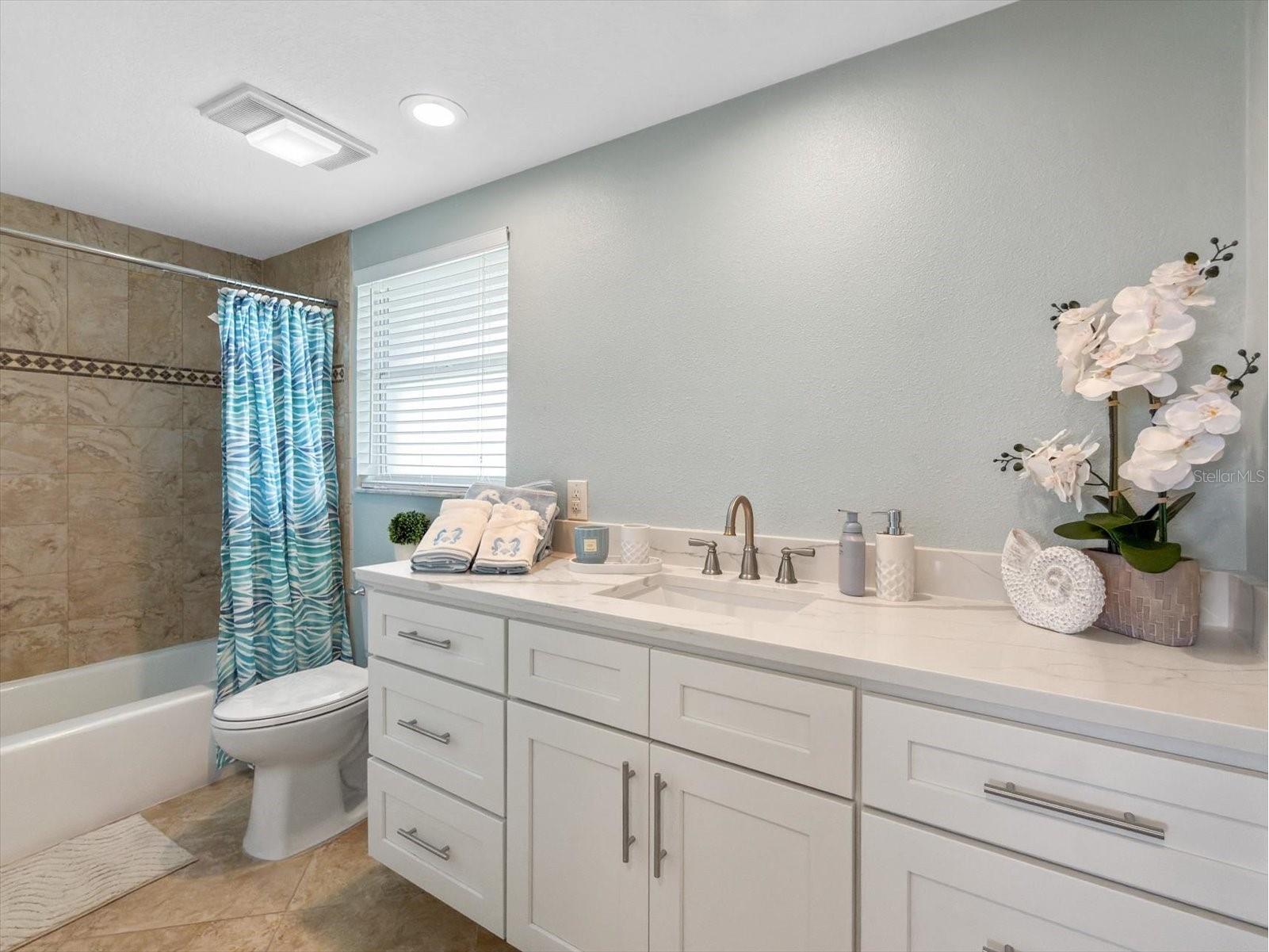 5008 Dory Drive New Port Richey FL 34652 W7886543 image14