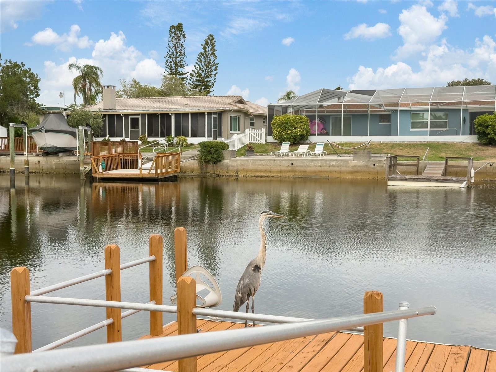 5008 Dory Drive New Port Richey FL 34652 W7886543 image35
