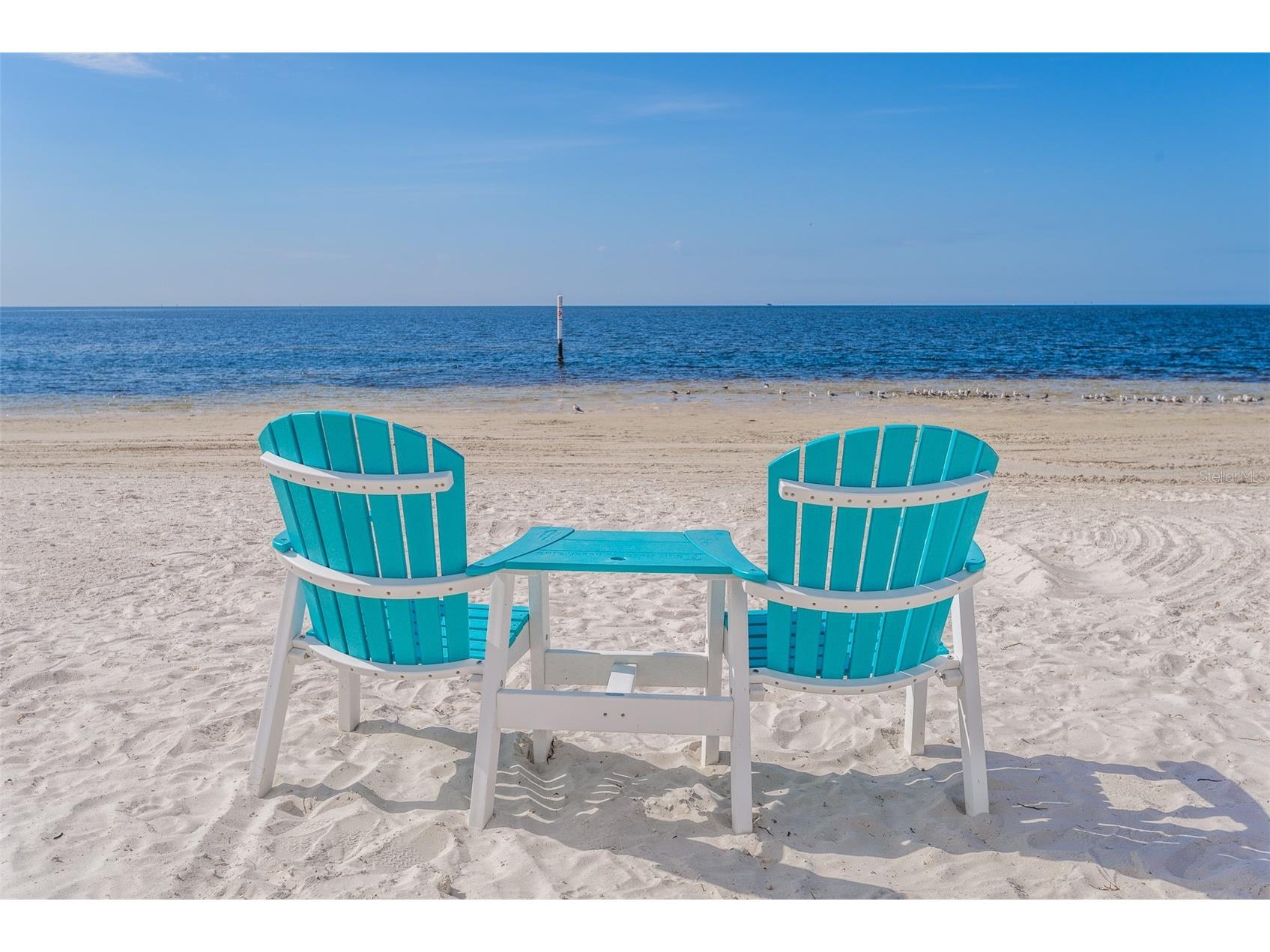 5008 Glenn Drive New Port Richey FL 34652 TB8400878 image51