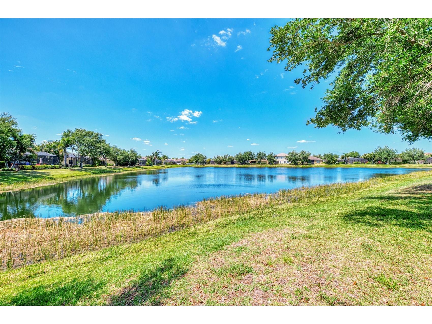 5008 Mission Park Lane Bradenton FL 34211 A4690189 image57