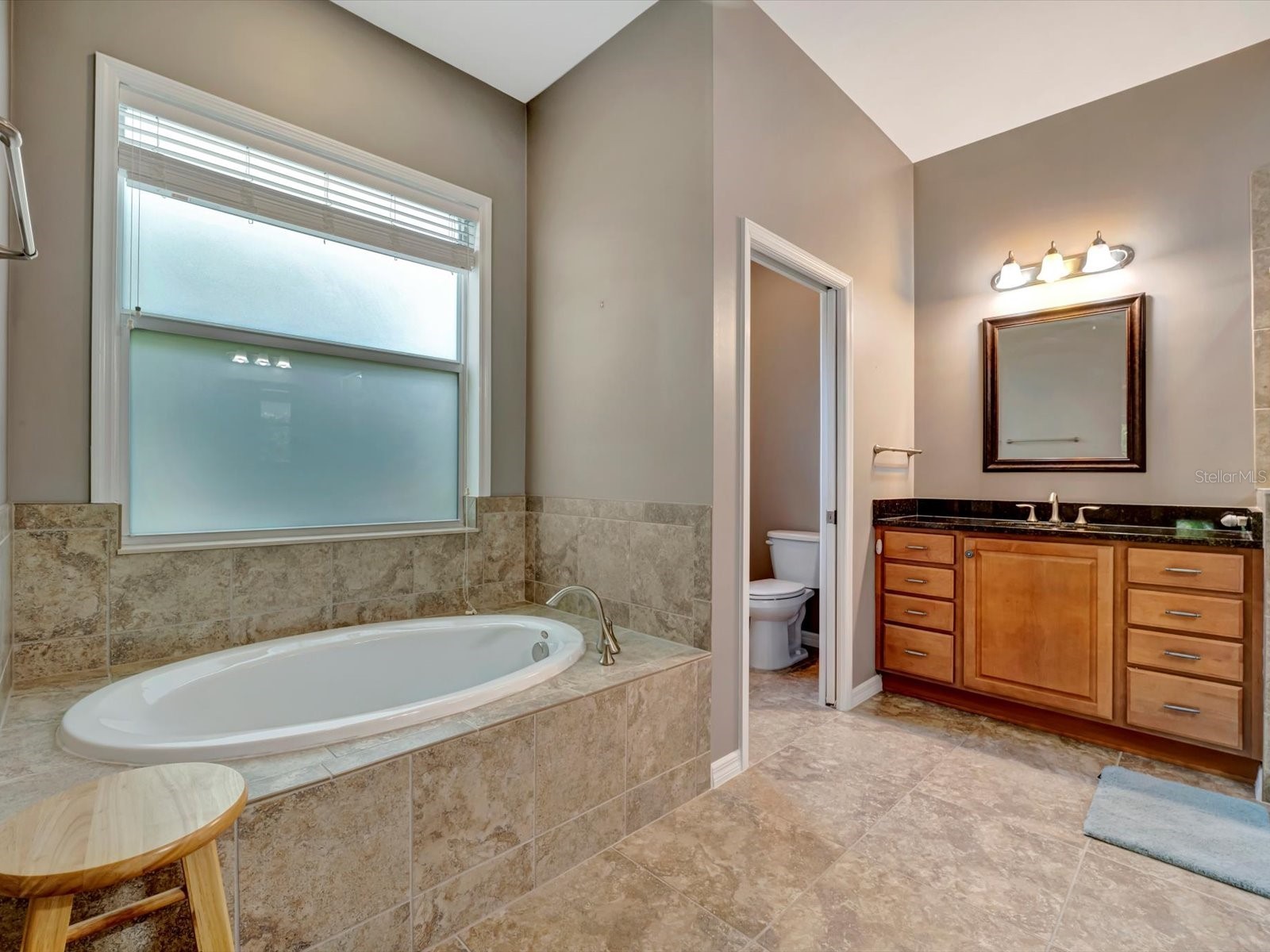 5009 Lake Overlook Avenue Bradenton FL 34208 - MANATEE RIVER A4684593 image26