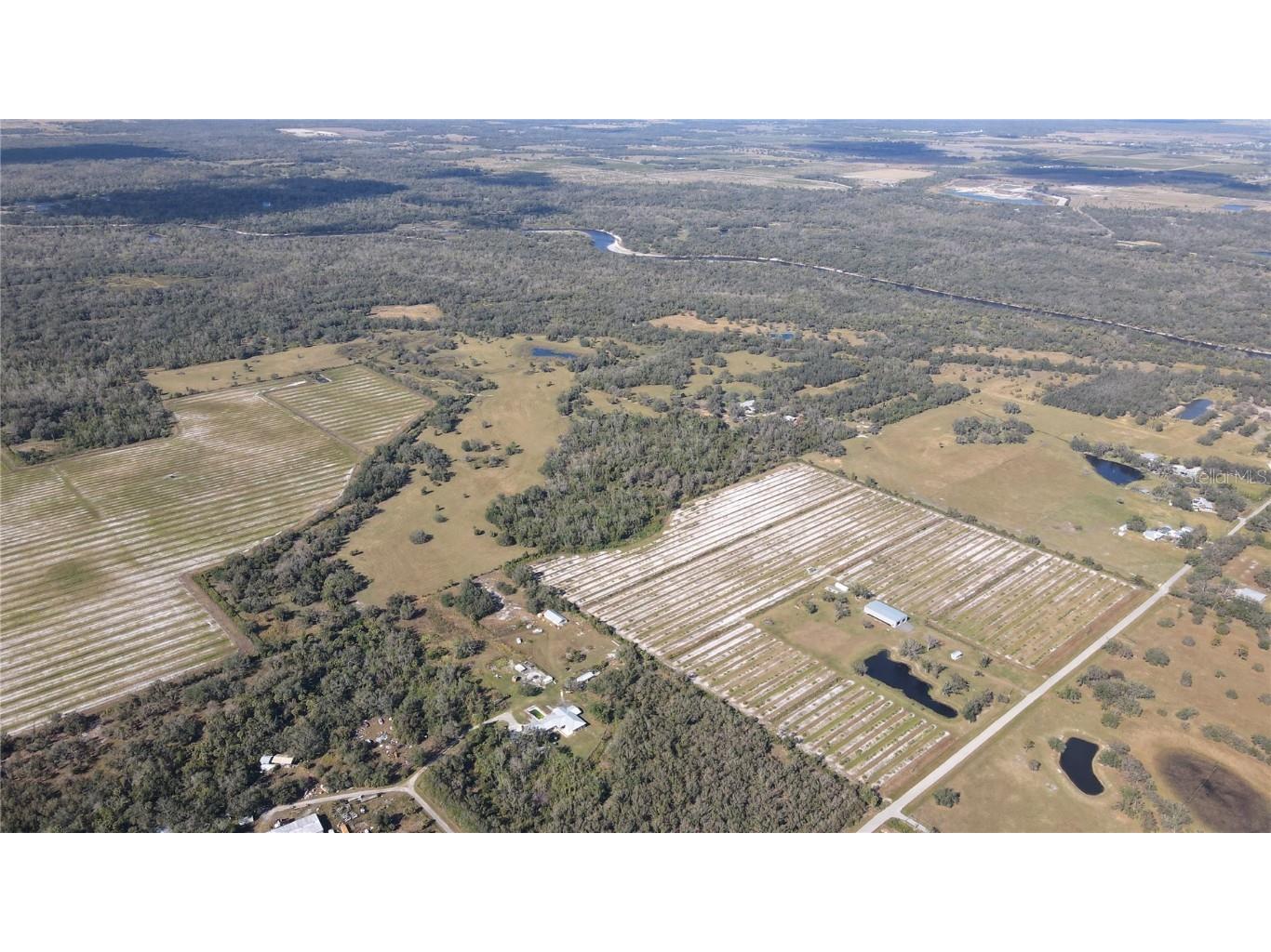 5009 SW Oakwood Avenue Arcadia FL 34269 TB8346085 image1