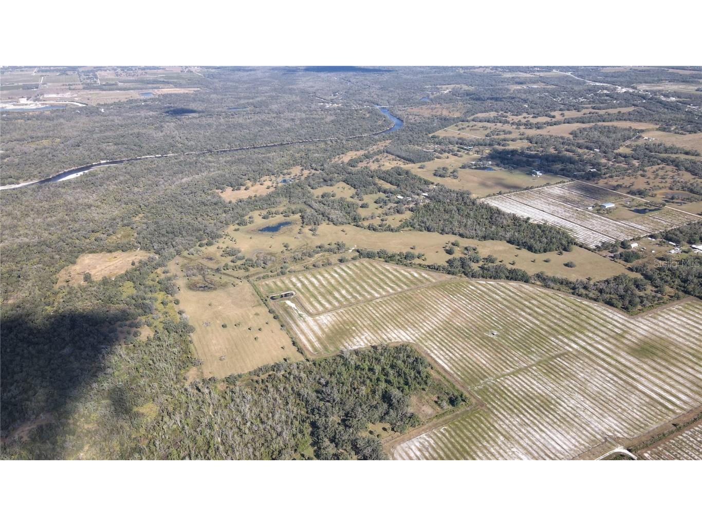 5009 SW Oakwood Avenue Arcadia FL 34269 TB8346085 image4