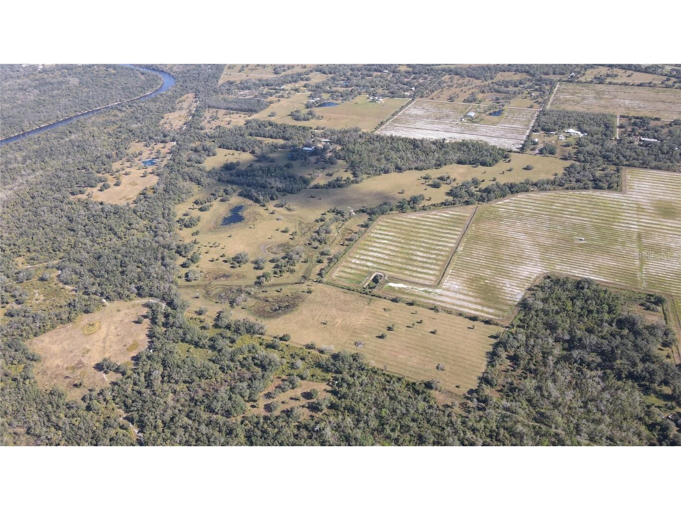 5009 SW Oakwood Avenue Arcadia FL 34269 TB8346085 image5