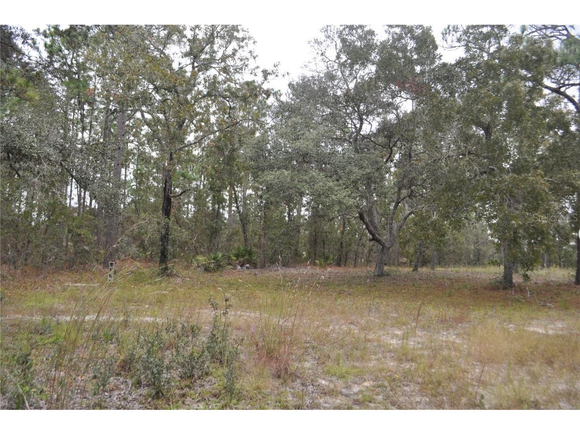 5009 W Ryan Court Homosassa FL 34446 G5103780 image11