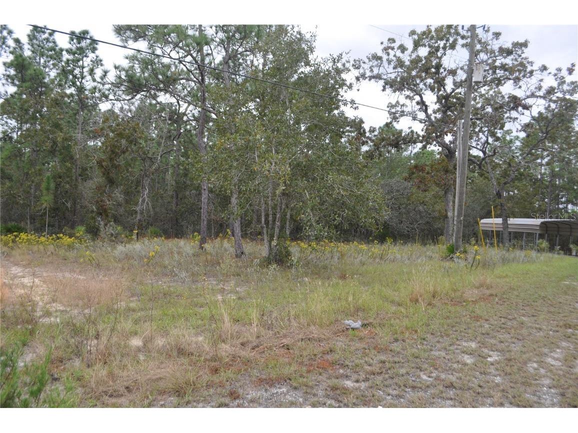 5009 W Ryan Court Homosassa FL 34446 G5103780 image13