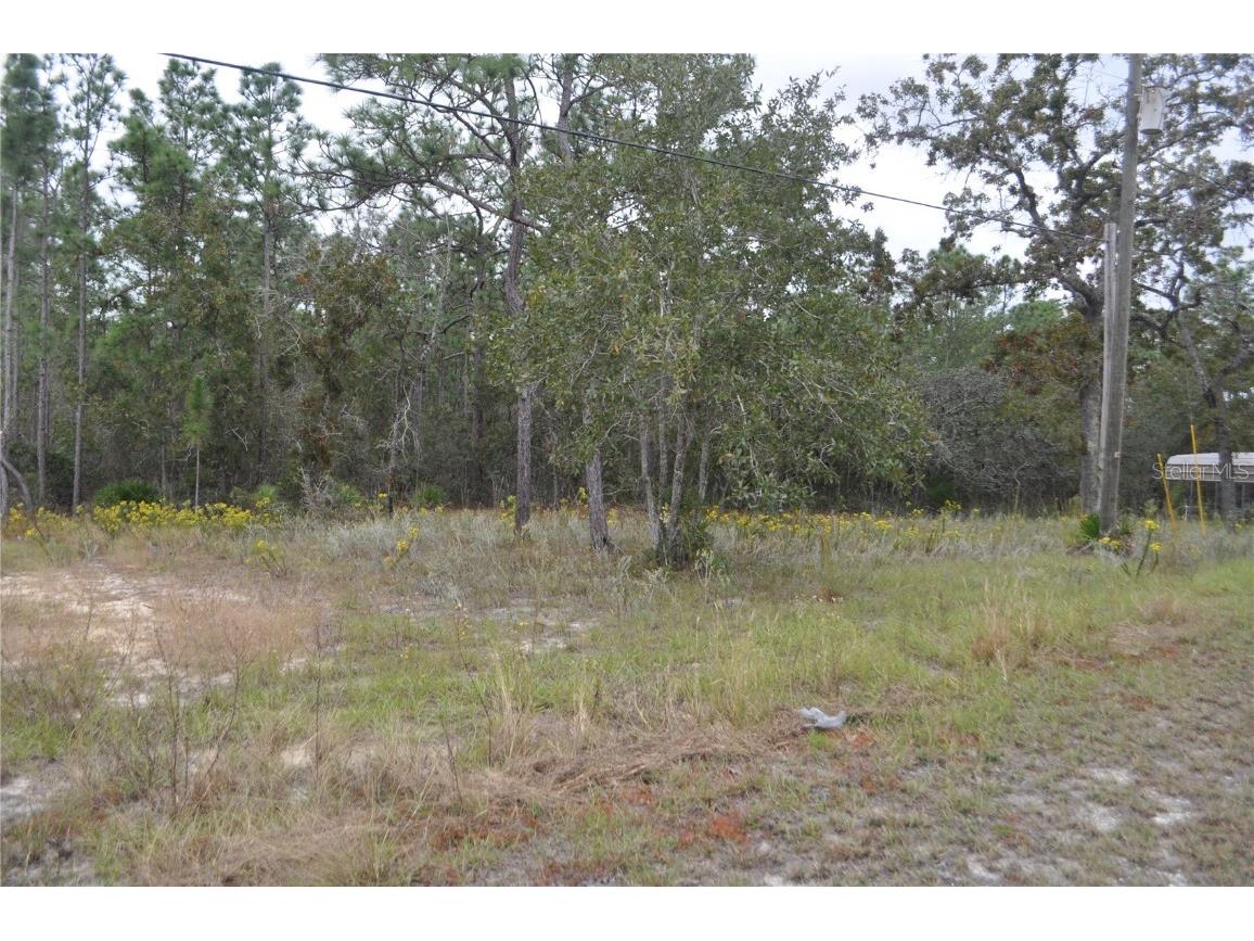 5009 W Ryan Court Homosassa FL 34446 G5103780 image14