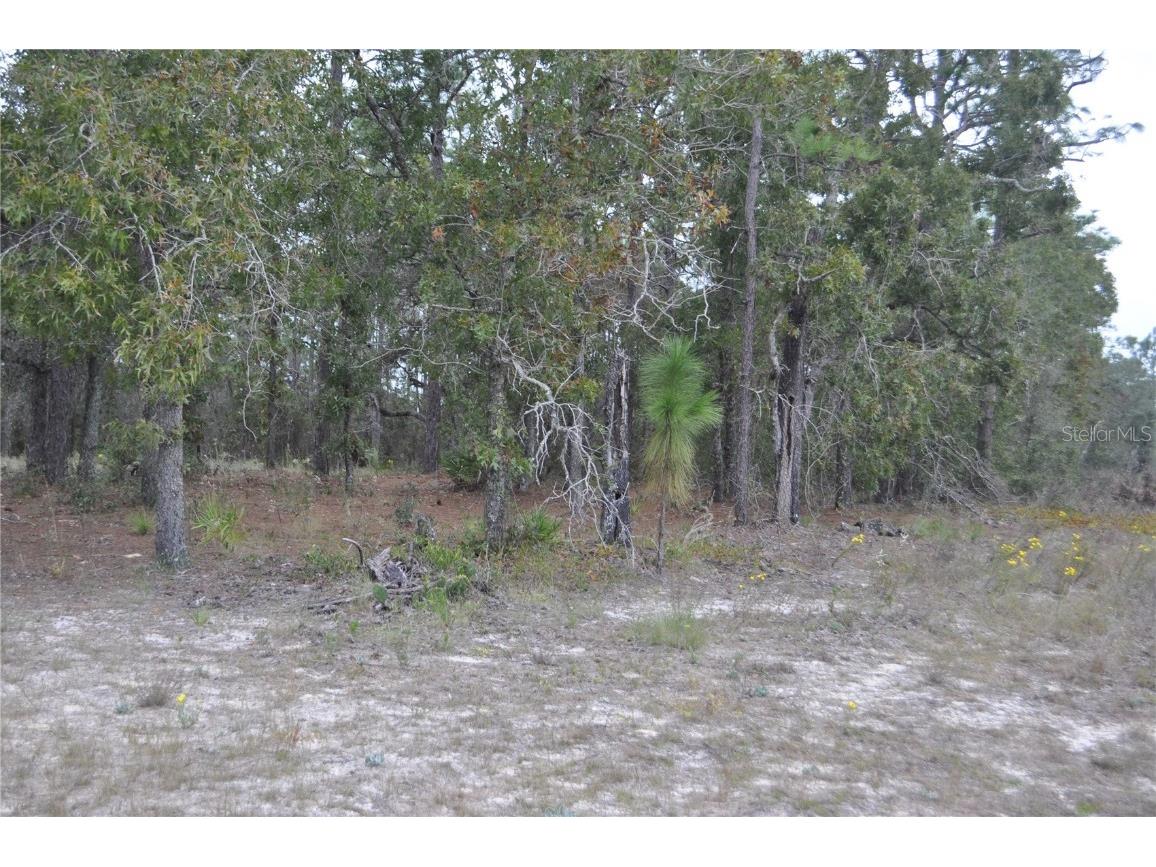 5009 W Ryan Court Homosassa FL 34446 G5103780 image3