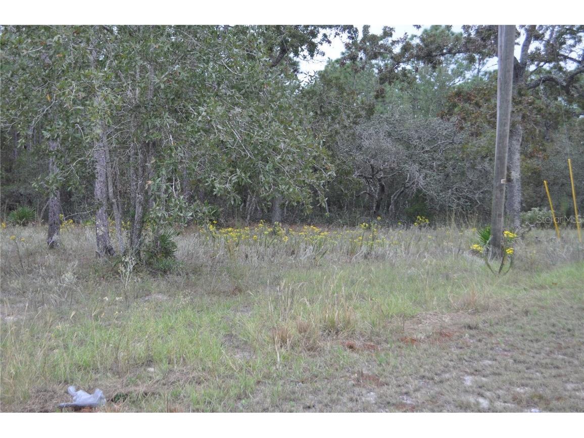 5009 W Ryan Court Homosassa FL 34446 G5103780 image5