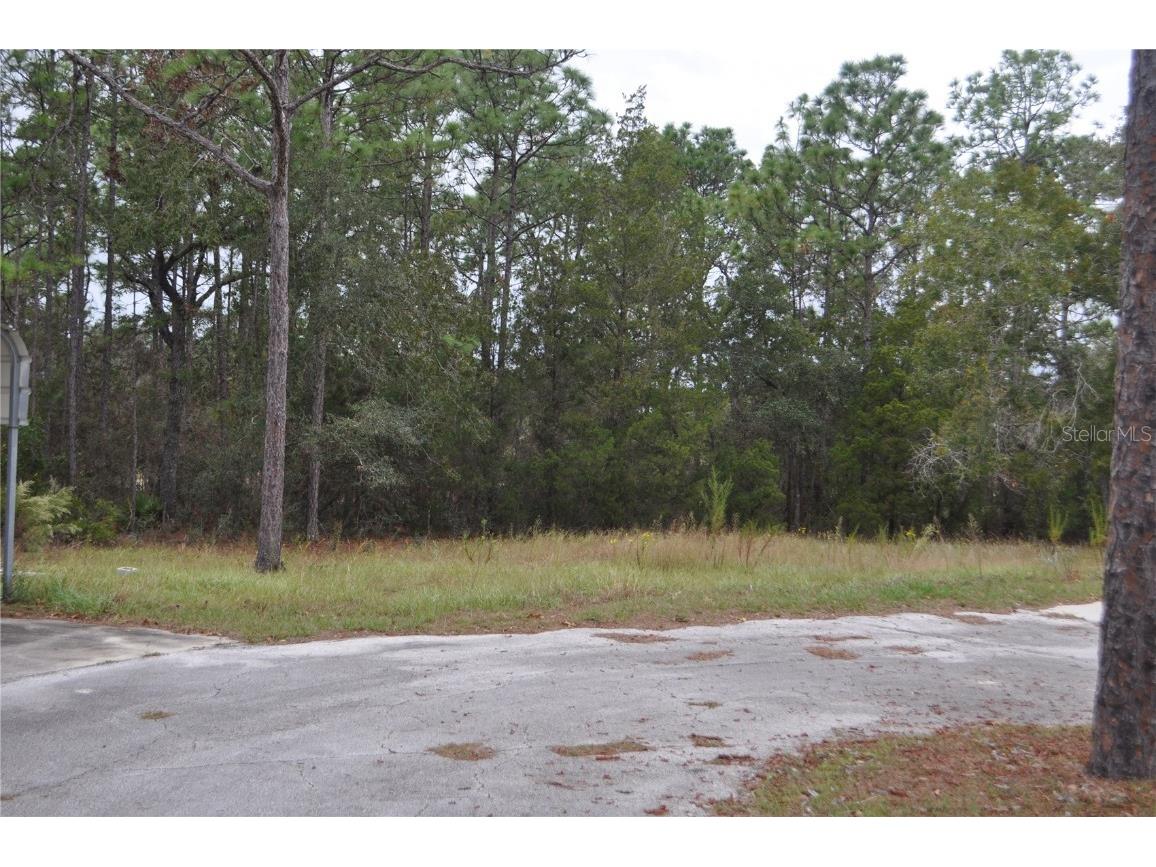 5009 W Ryan Court Homosassa FL 34446 G5103780 image6