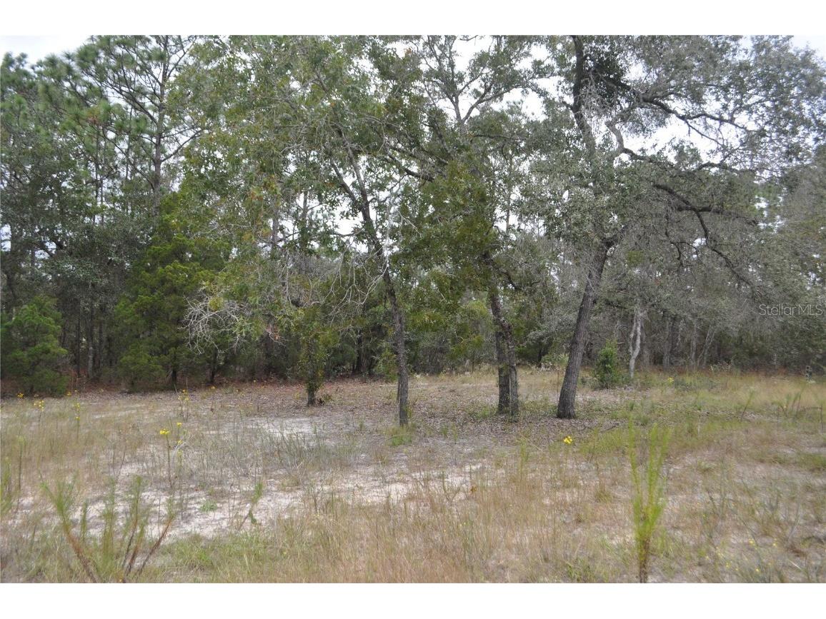 5009 W Ryan Court Homosassa FL 34446 G5103780 image8