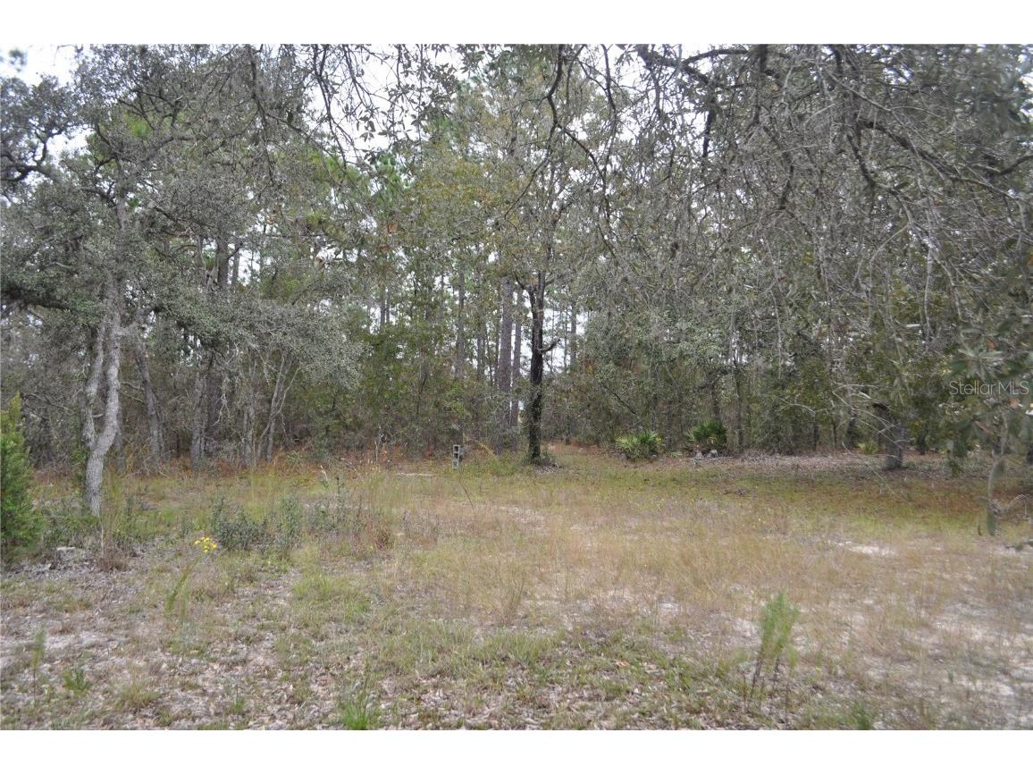 5009 W Ryan Court Homosassa FL 34446 G5103780 image9