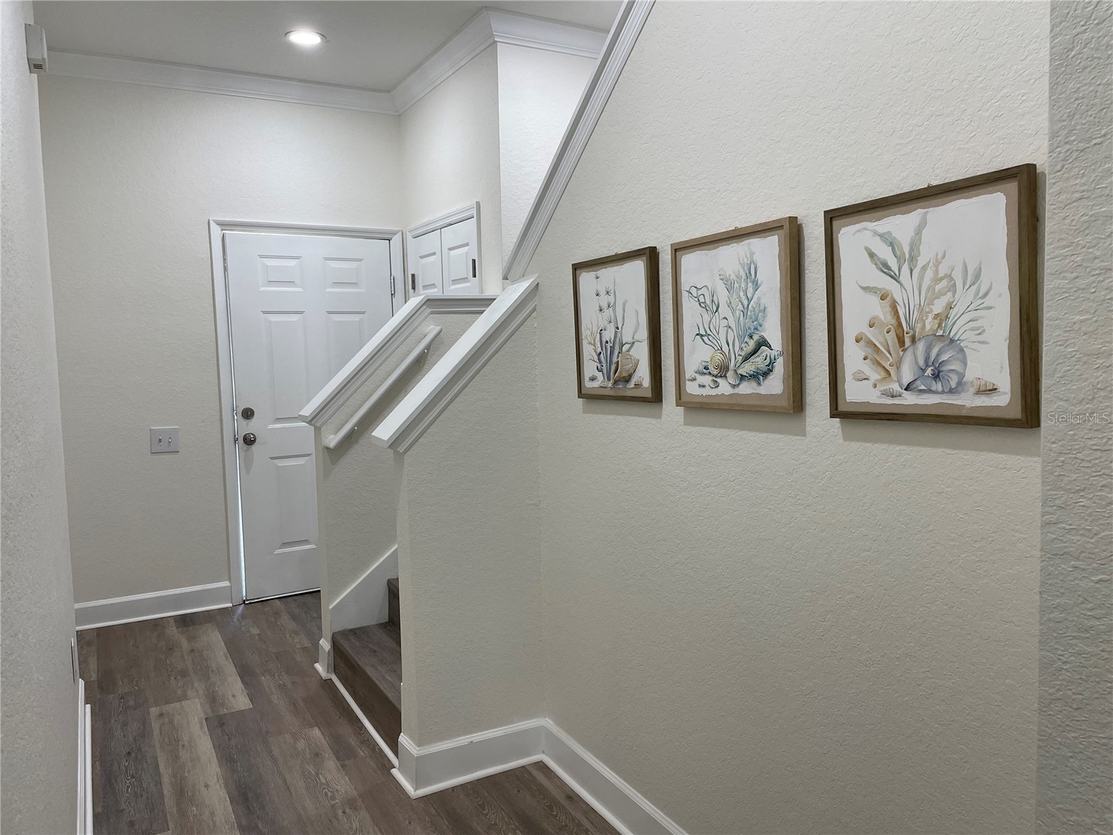 501 100th Avenue N Saint Petersburg FL 33702 TB8511718 image31
