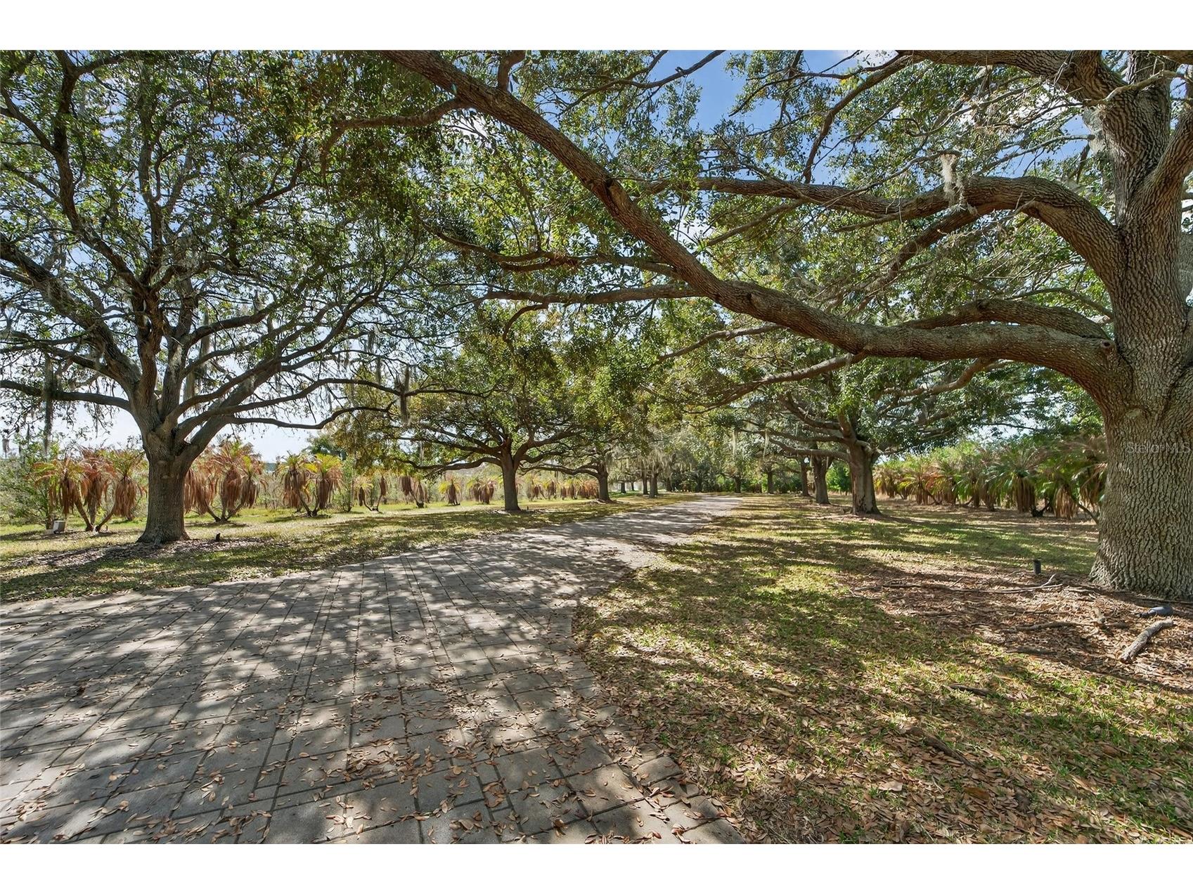 501 Adams Barn Road Auburndale FL 33823 - LAKE VAN L4959805 image85