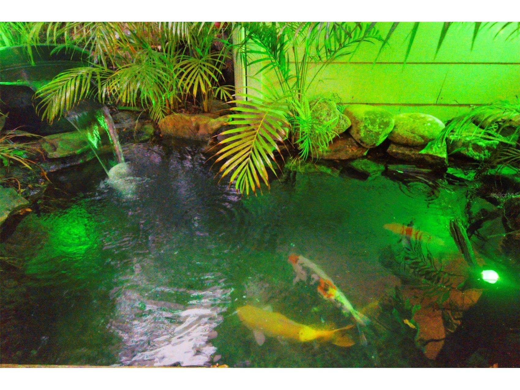 501 Broadway Dunedin FL 34698 R4911100 image37
