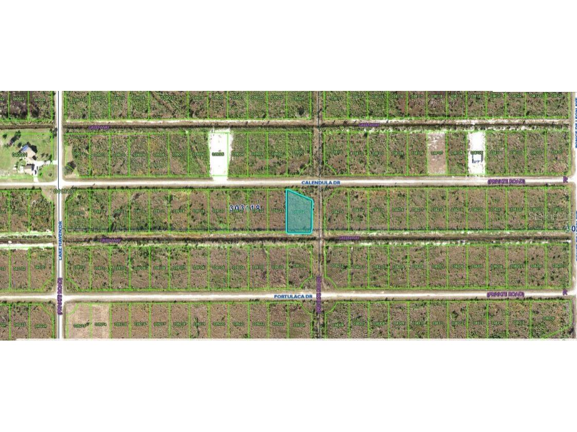 501 Calendula Drive Indian Lake Estates FL 33855 O6312601 image4