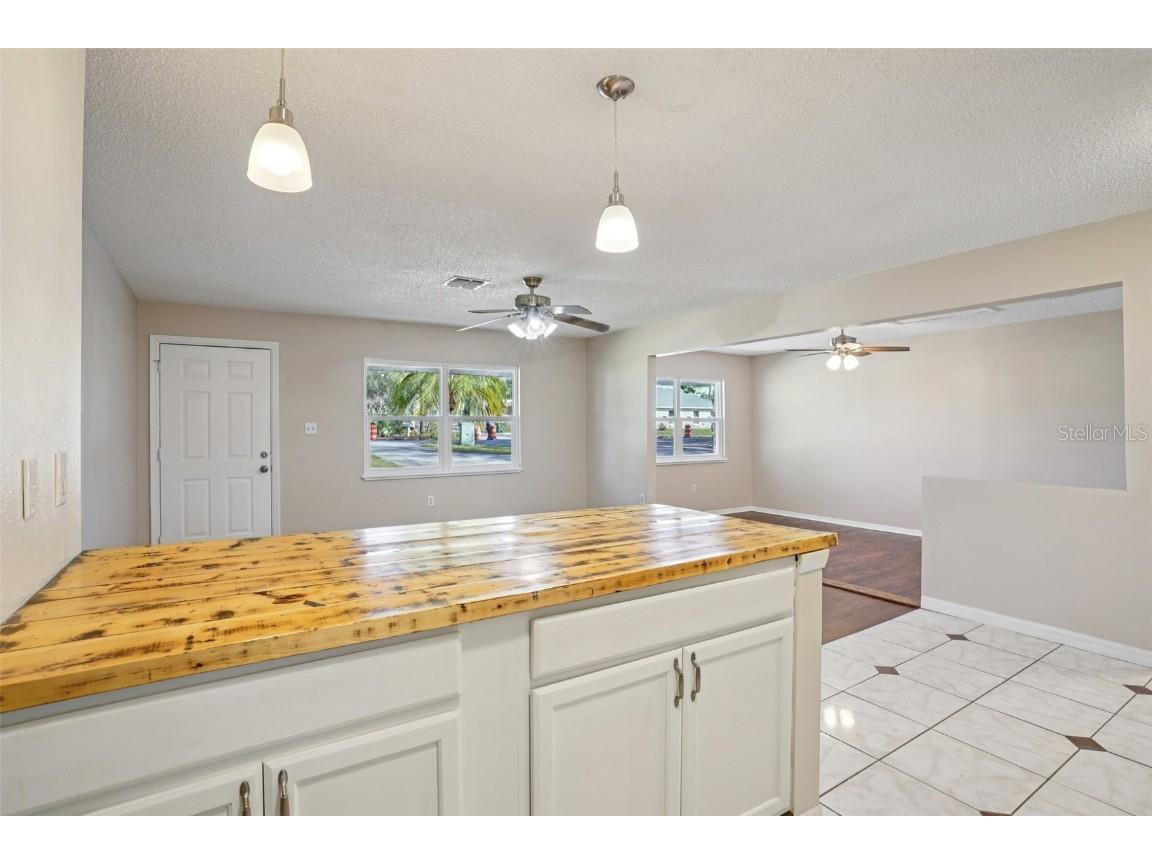 501 Dora Avenue Tavares FL 32778 G5106288 image14