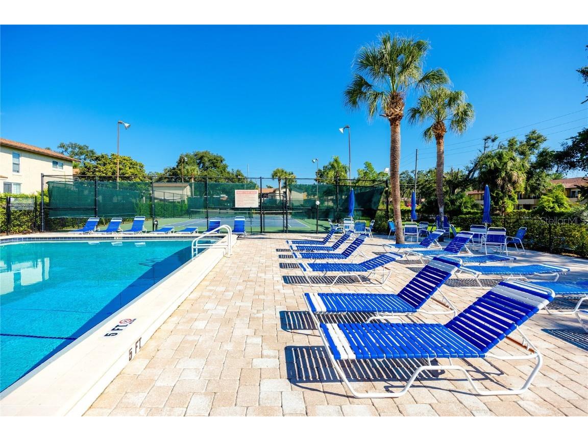 501 E Bay Drive #204 Largo FL 33770 TB8434400 image25