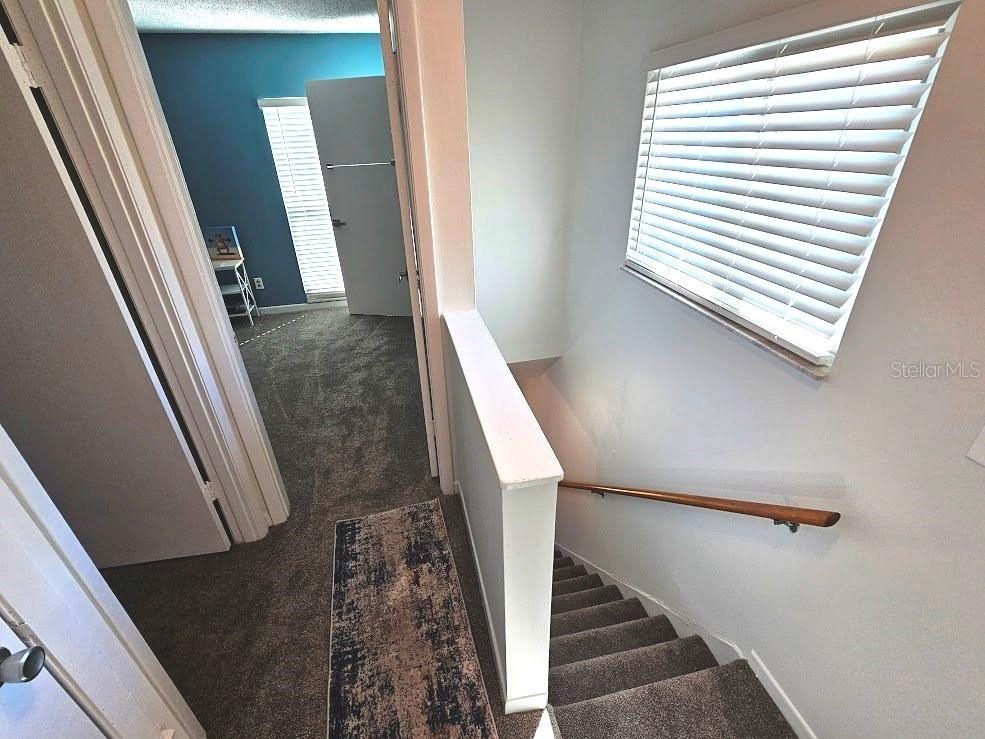 501 E Bay Drive #3401 Largo FL 33770 TB8474228 image15