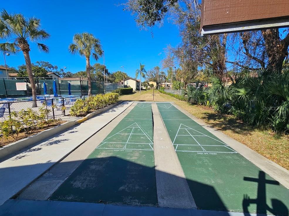 501 E Bay Drive #3401 Largo FL 33770 TB8474228 image31