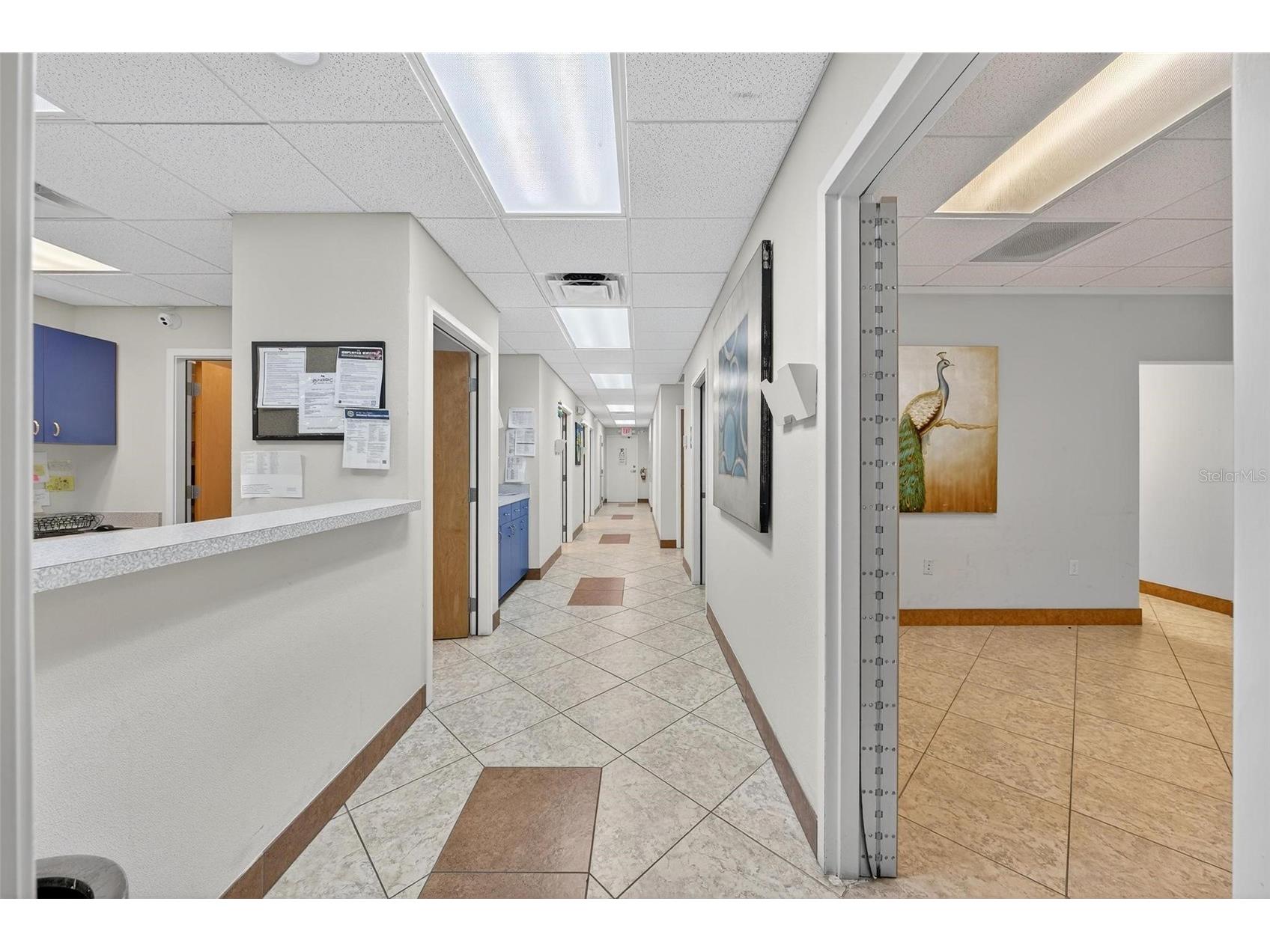 501 E North Boulevard Leesburg FL 34748 OM721532 image4