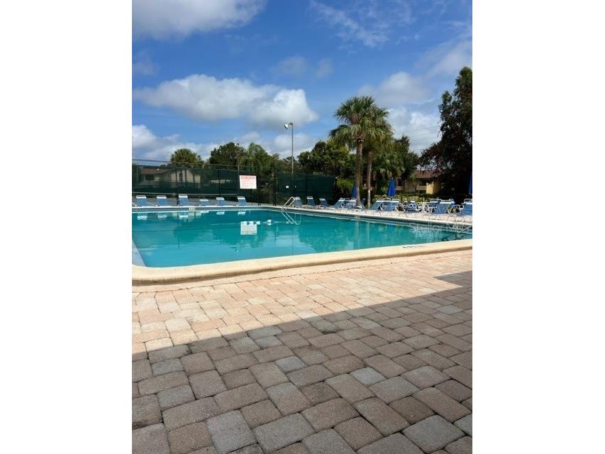 501 East Bay Drive #104 Largo FL 33770 TB8382504 image12