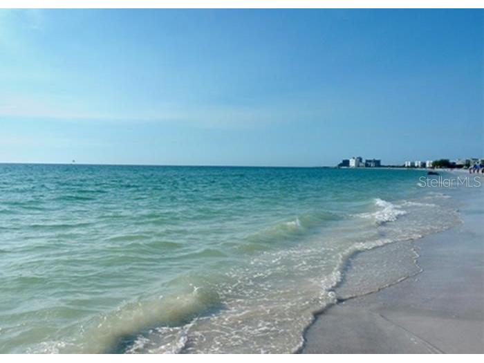 501 East Bay Drive #104 Largo FL 33770 TB8382504 image19